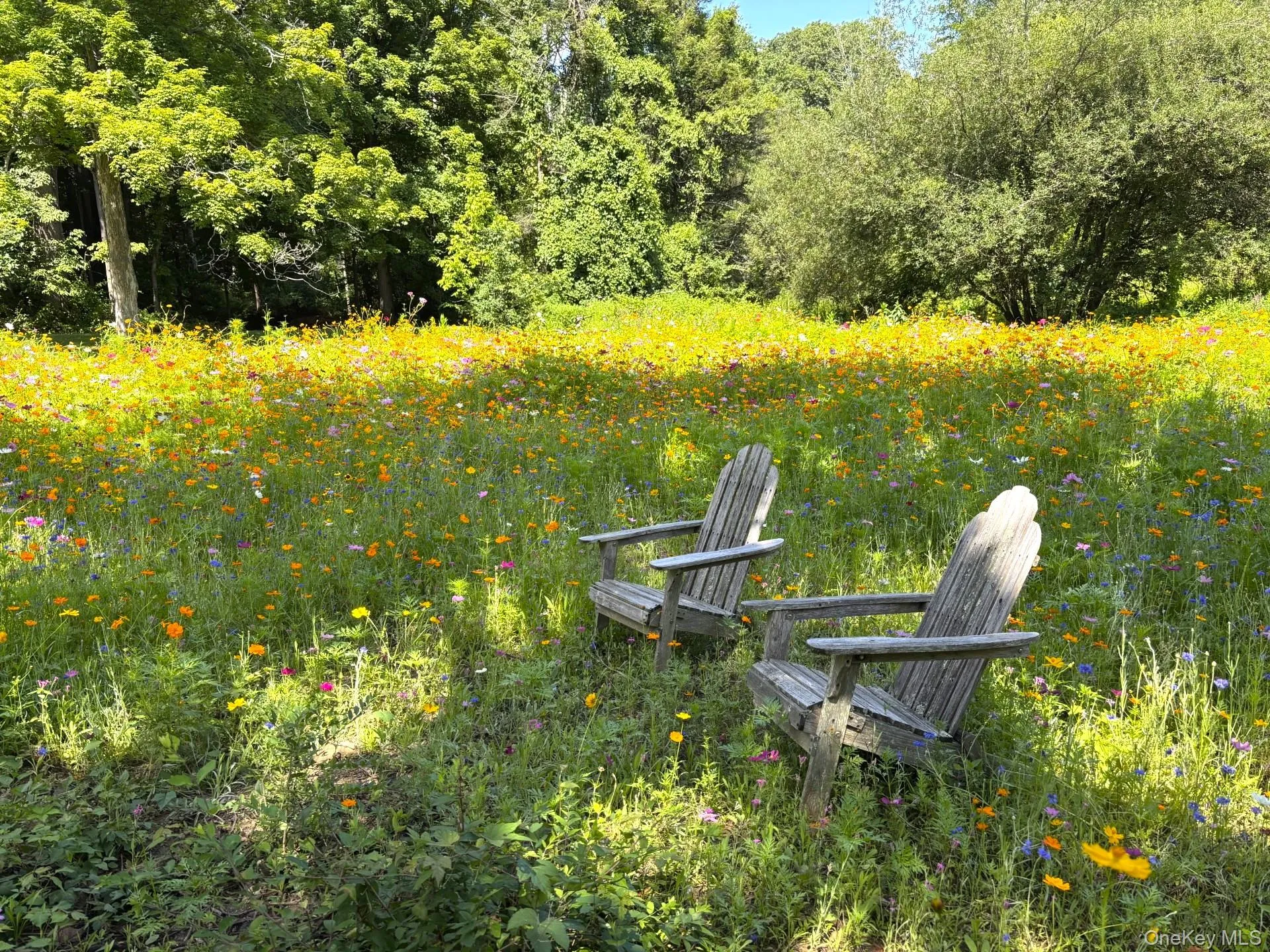 Wildflower meadows Wildflower meadows