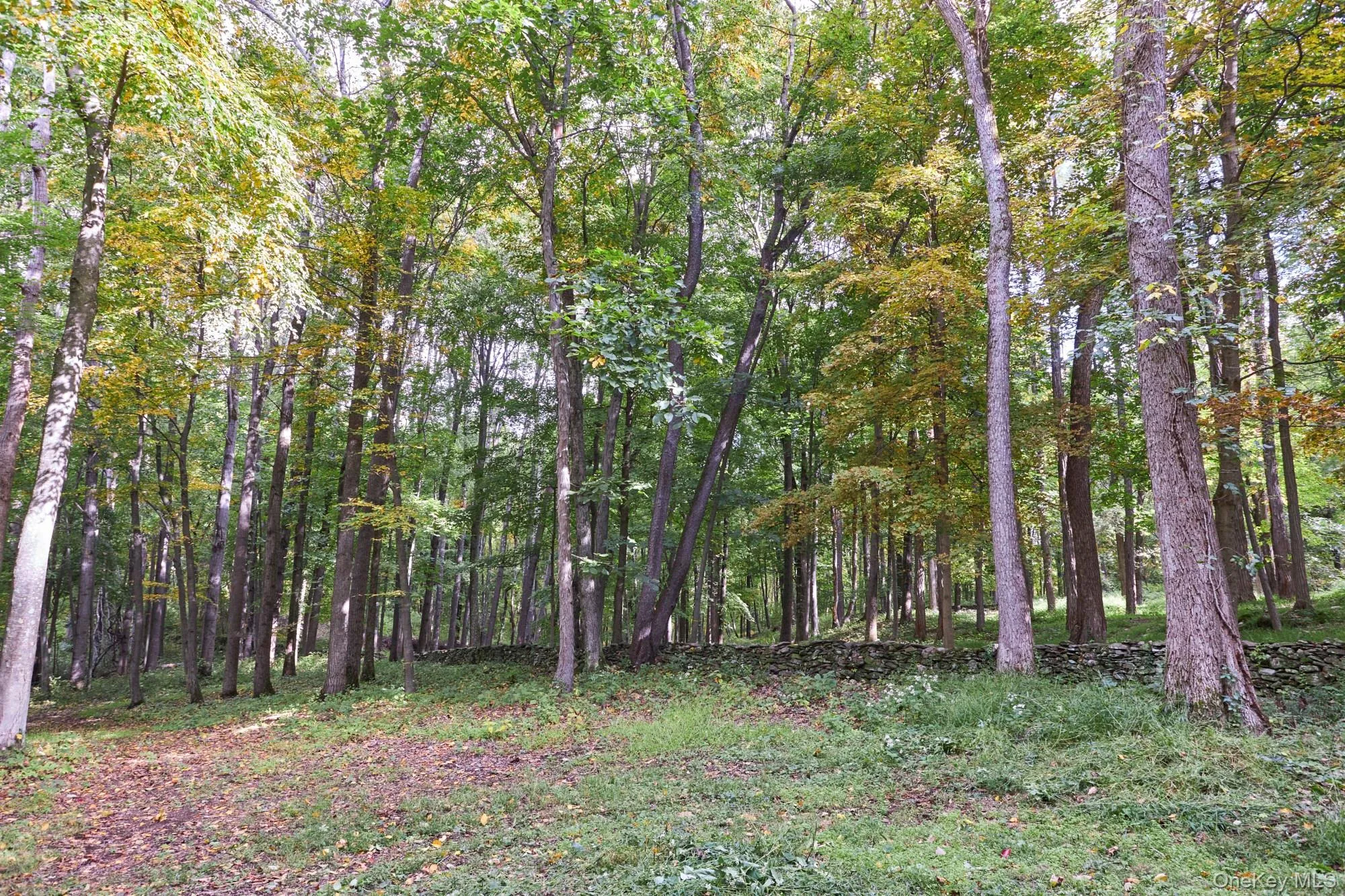 10 Old Primrose Hill, Rhinebeck, NY, 2 Bedrooms Bedrooms, 8 Rooms Rooms,2 BathroomsBathrooms,Residential,For Rent,Old Primrose Hill,0,1058881 10 Old Primrose Hill, Rhinebeck, NY, 2 Bedrooms Bedrooms, 8 Rooms Rooms,2 BathroomsBathrooms,Residential,For Rent,Old Primrose Hill,0,1058881
