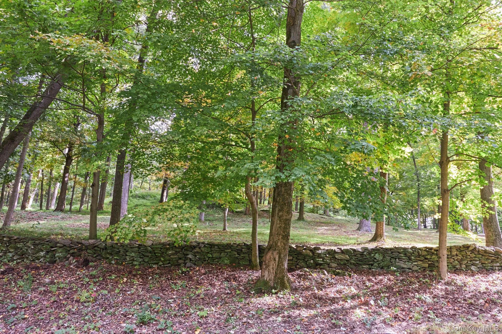 10 Old Primrose Hill, Rhinebeck, NY, 2 Bedrooms Bedrooms, 8 Rooms Rooms,2 BathroomsBathrooms,Residential,For Rent,Old Primrose Hill,0,1058881 10 Old Primrose Hill, Rhinebeck, NY, 2 Bedrooms Bedrooms, 8 Rooms Rooms,2 BathroomsBathrooms,Residential,For Rent,Old Primrose Hill,0,1058881