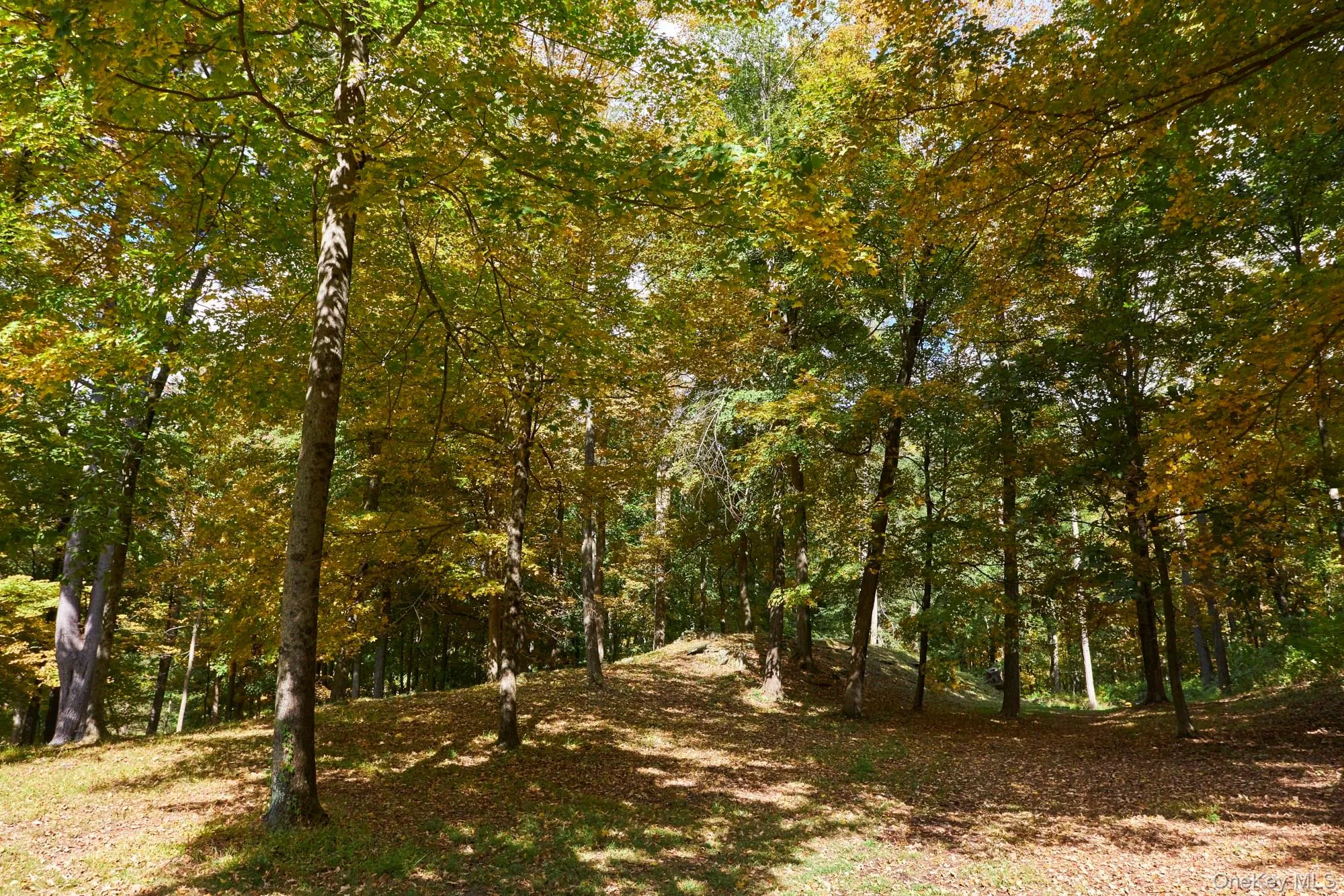 10 Old Primrose Hill, Rhinebeck, NY, 2 Bedrooms Bedrooms, 8 Rooms Rooms,2 BathroomsBathrooms,Residential,For Rent,Old Primrose Hill,0,1058881 10 Old Primrose Hill, Rhinebeck, NY, 2 Bedrooms Bedrooms, 8 Rooms Rooms,2 BathroomsBathrooms,Residential,For Rent,Old Primrose Hill,0,1058881