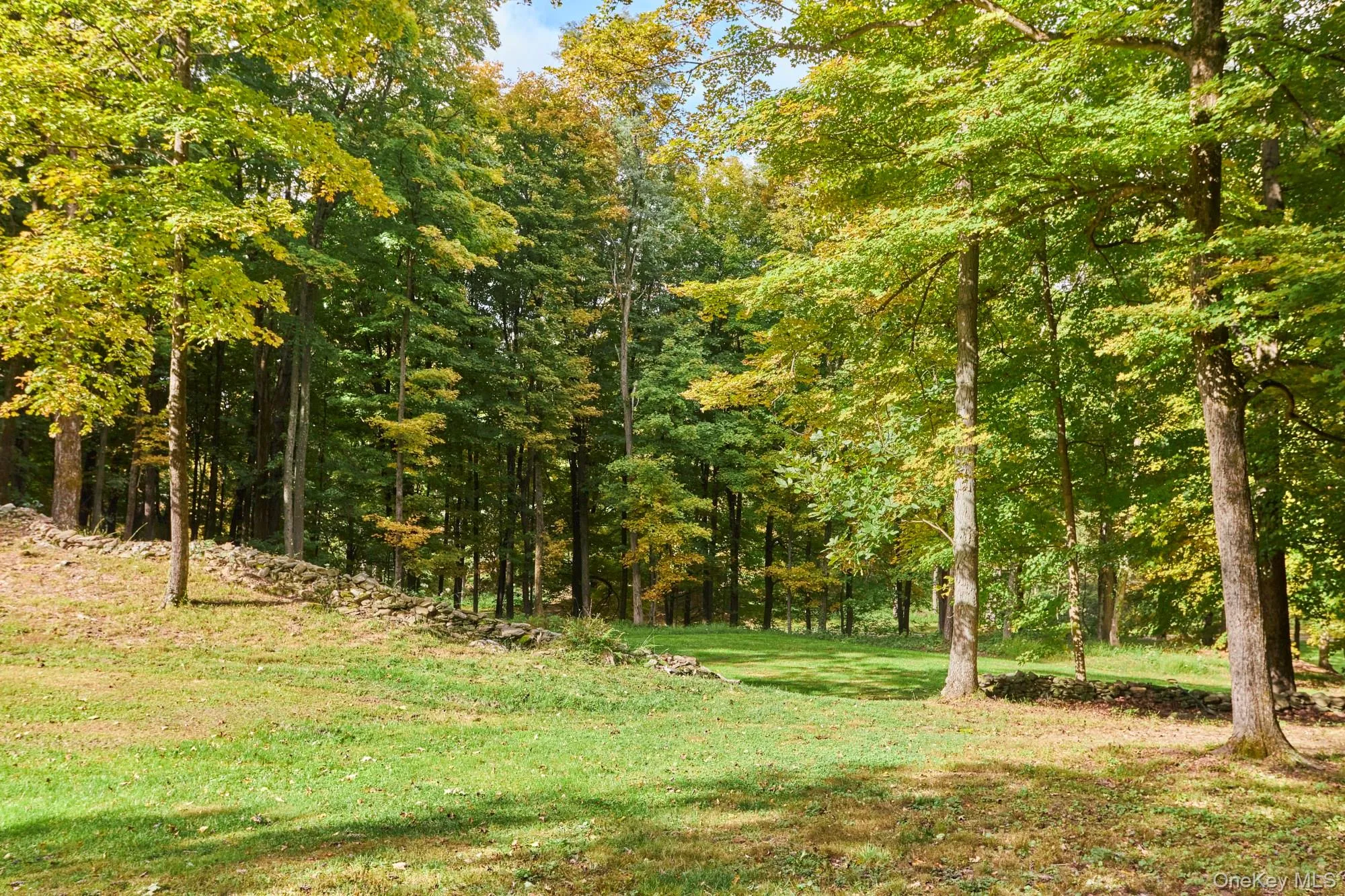 10 Old Primrose Hill, Rhinebeck, NY, 2 Bedrooms Bedrooms, 8 Rooms Rooms,2 BathroomsBathrooms,Residential,For Rent,Old Primrose Hill,0,1058881 10 Old Primrose Hill, Rhinebeck, NY, 2 Bedrooms Bedrooms, 8 Rooms Rooms,2 BathroomsBathrooms,Residential,For Rent,Old Primrose Hill,0,1058881