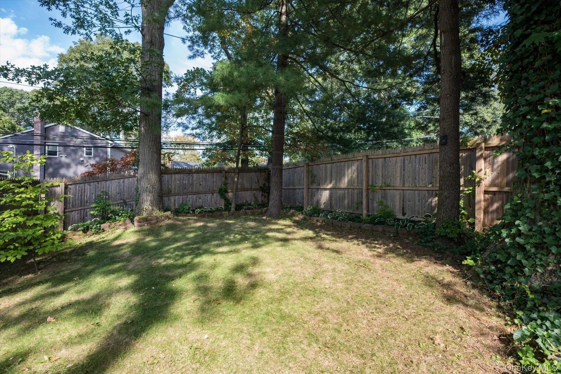 Back Yard Back Yard
