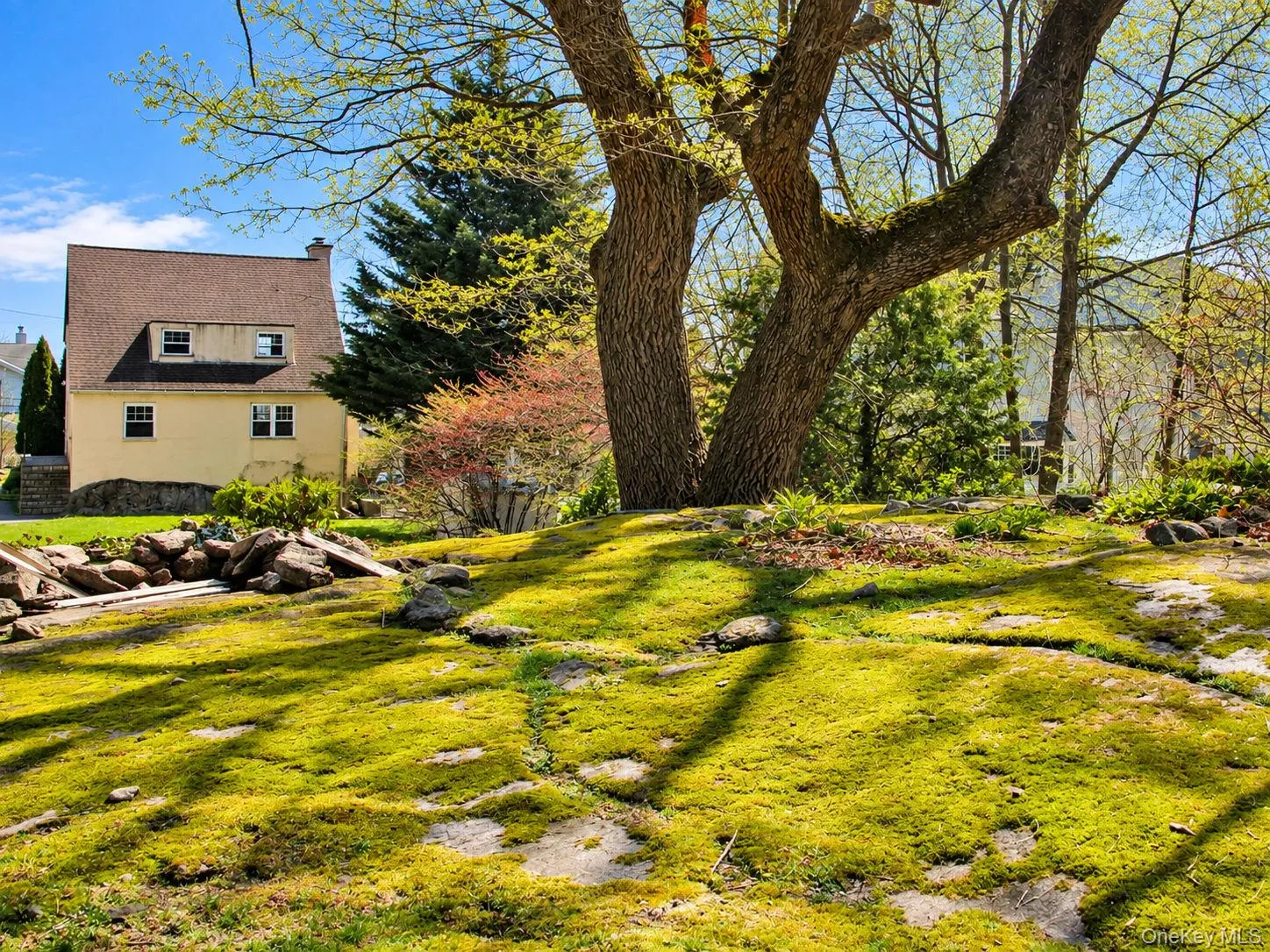 153 Highview Street, Mamaroneck, NY, 3 Bedrooms Bedrooms, 5 Rooms Rooms,2 BathroomsBathrooms,Residential,For Rent,Highview,0,1058924 153 Highview Street, Mamaroneck, NY, 3 Bedrooms Bedrooms, 5 Rooms Rooms,2 BathroomsBathrooms,Residential,For Rent,Highview,0,1058924