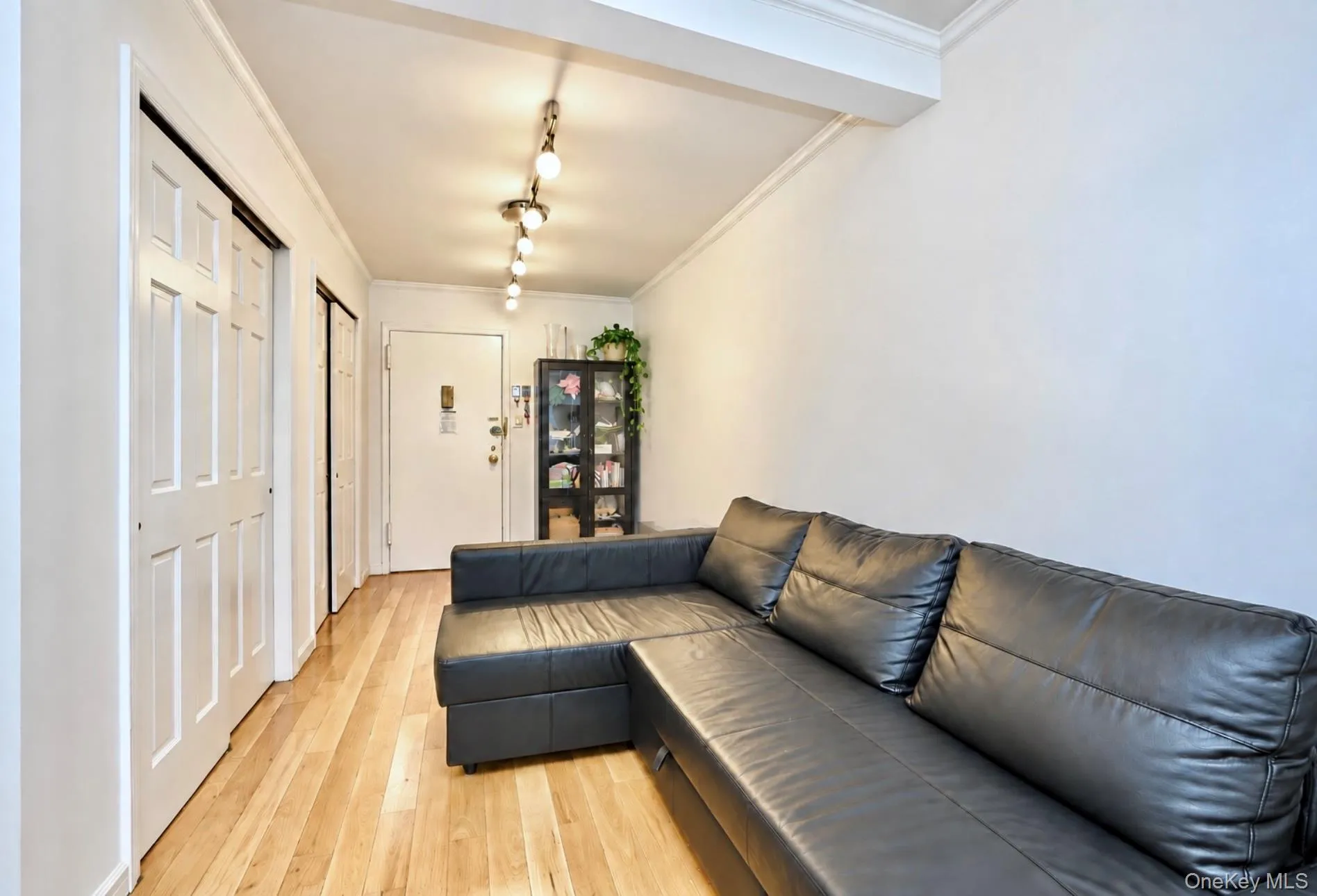 Hardwood flooring throughout, with track lighting, a full-lite entry door, and a built-in display cabinet Hardwood flooring throughout, with track lighting, a full-lite entry door, and a built-in display cabinet