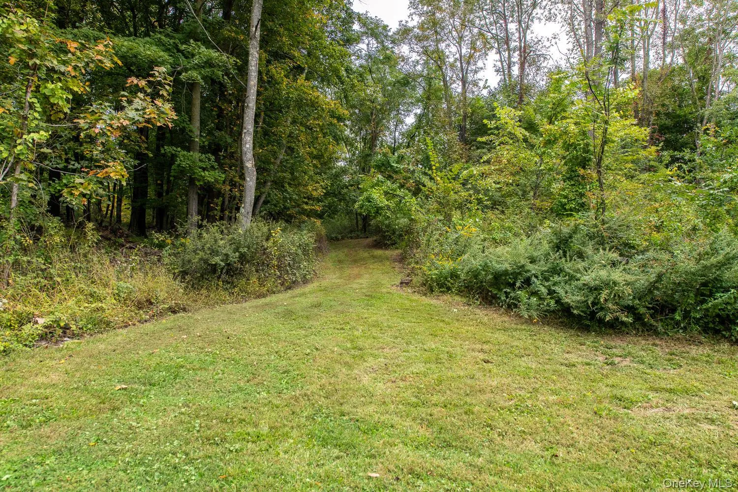 5 Vail Road, La Grange, NY, 5 Bedrooms Bedrooms, 9 Rooms Rooms,3 BathroomsBathrooms,Residential,For Rent,Vail,0,1059019 5 Vail Road, La Grange, NY, 5 Bedrooms Bedrooms, 9 Rooms Rooms,3 BathroomsBathrooms,Residential,For Rent,Vail,0,1059019