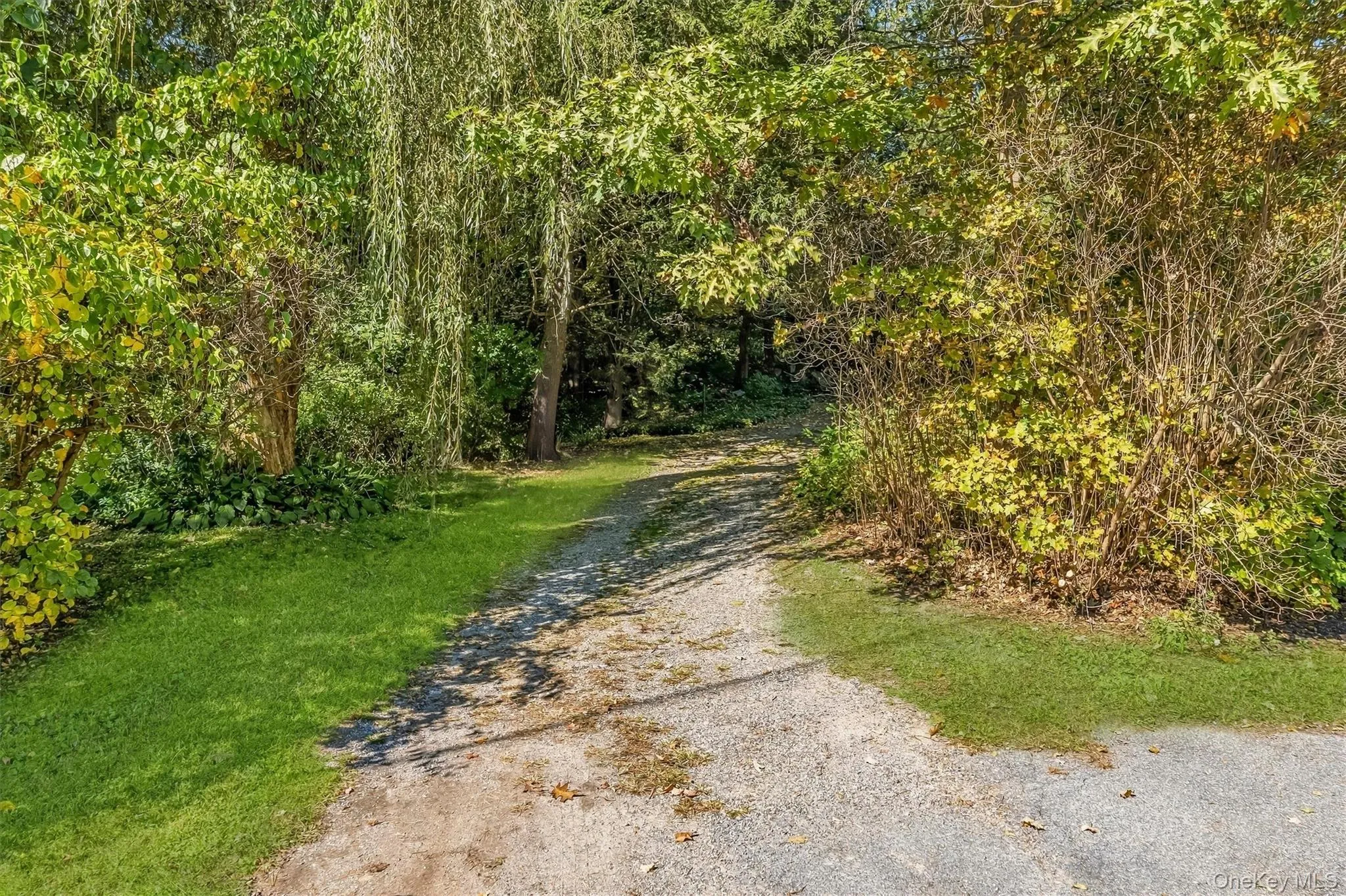 170 Topland Road, Carmel, NY, 3 Bedrooms Bedrooms, 6 Rooms Rooms,2 BathroomsBathrooms,Residential,For Rent,Topland,0,1059044 170 Topland Road, Carmel, NY, 3 Bedrooms Bedrooms, 6 Rooms Rooms,2 BathroomsBathrooms,Residential,For Rent,Topland,0,1059044