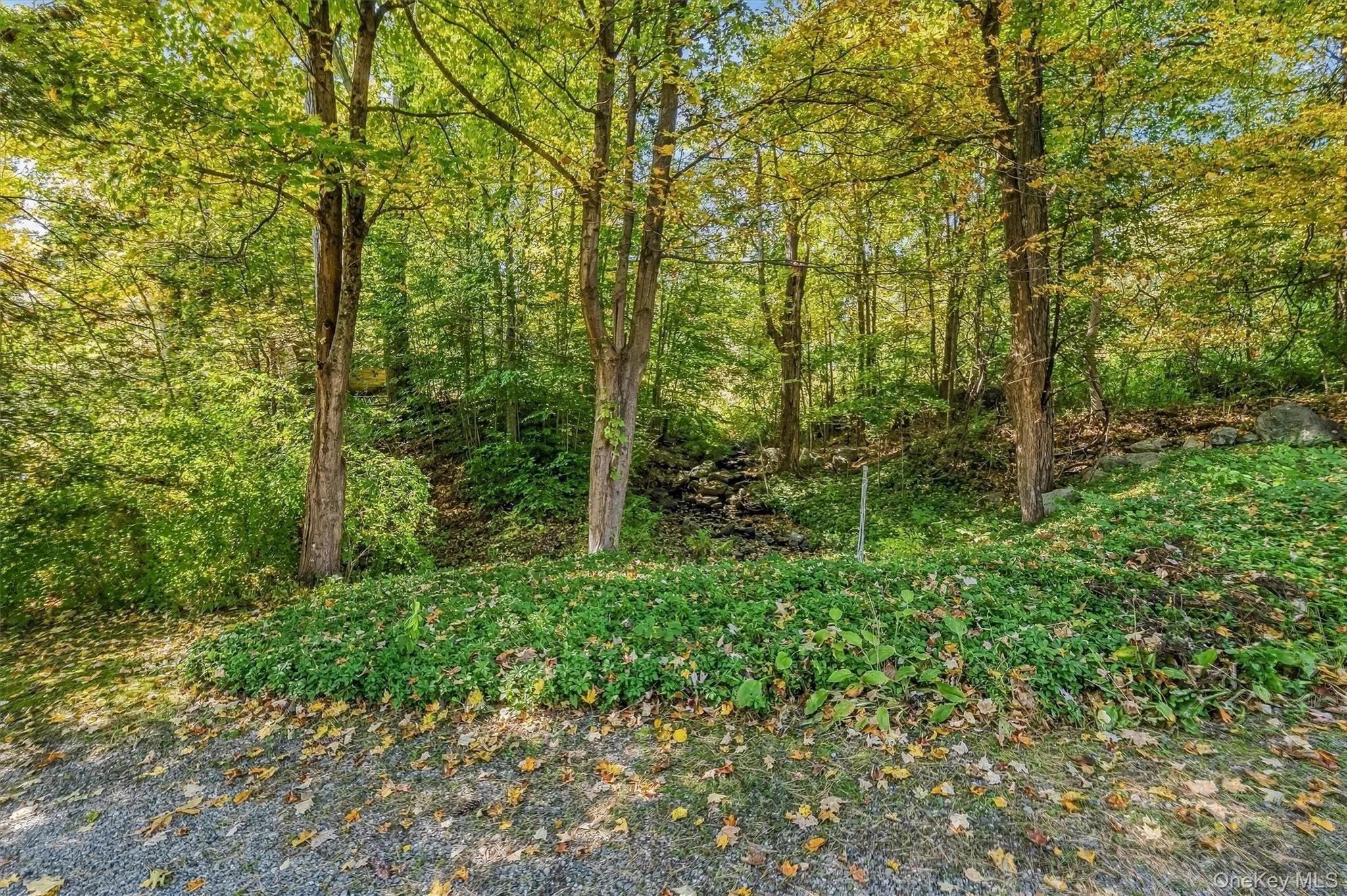 170 Topland Road, Carmel, NY, 3 Bedrooms Bedrooms, 6 Rooms Rooms,2 BathroomsBathrooms,Residential,For Rent,Topland,0,1059044 170 Topland Road, Carmel, NY, 3 Bedrooms Bedrooms, 6 Rooms Rooms,2 BathroomsBathrooms,Residential,For Rent,Topland,0,1059044