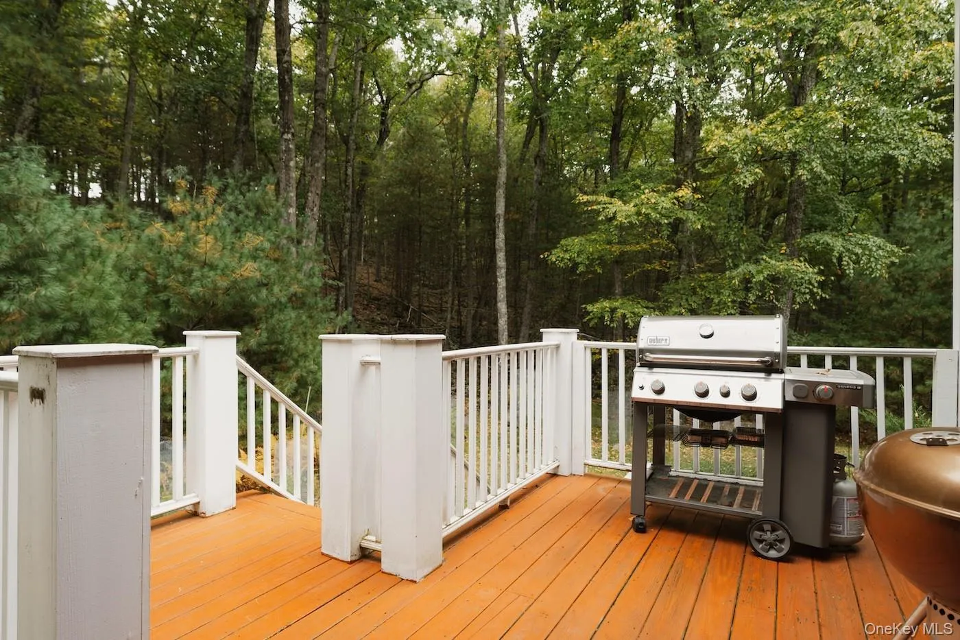 23 Bluestone Drive, Highland, NY, 2 Bedrooms Bedrooms, 4 Rooms Rooms,2 BathroomsBathrooms,Residential,For Rent,Bluestone,0,1059100 23 Bluestone Drive, Highland, NY, 2 Bedrooms Bedrooms, 4 Rooms Rooms,2 BathroomsBathrooms,Residential,For Rent,Bluestone,0,1059100
