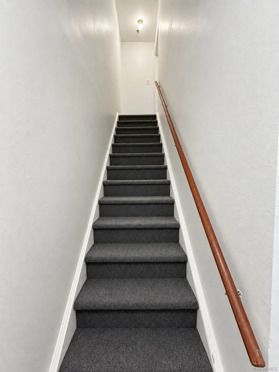818 Trinity Avenue, New York, NY, 3 Bedroom Bedrooms, 7 Room Rooms,1 BathroomBathrooms,Residential Lease,For Rent,Trinity,0,1059122 818 Trinity Avenue, New York, NY, 3 Bedroom Bedrooms, 7 Room Rooms,1 BathroomBathrooms,Residential Lease,For Rent,Trinity,0,1059122