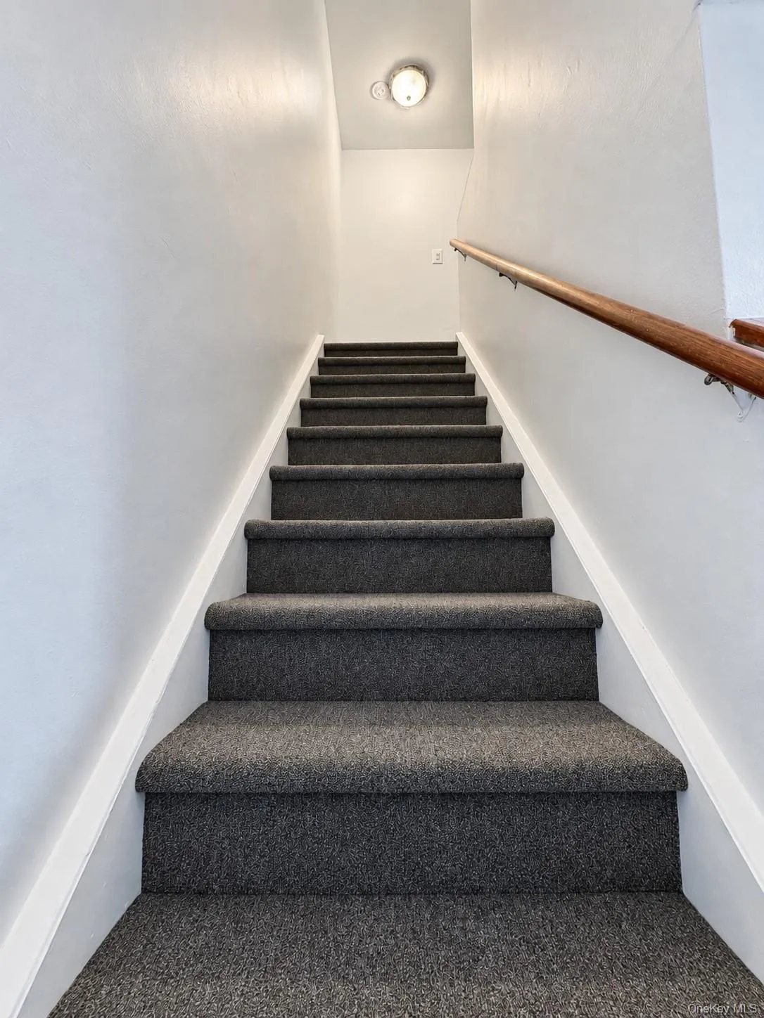 818 Trinity Avenue, New York, NY, 3 Bedroom Bedrooms, 7 Room Rooms,1 BathroomBathrooms,Residential Lease,For Rent,Trinity,0,1059122 818 Trinity Avenue, New York, NY, 3 Bedroom Bedrooms, 7 Room Rooms,1 BathroomBathrooms,Residential Lease,For Rent,Trinity,0,1059122