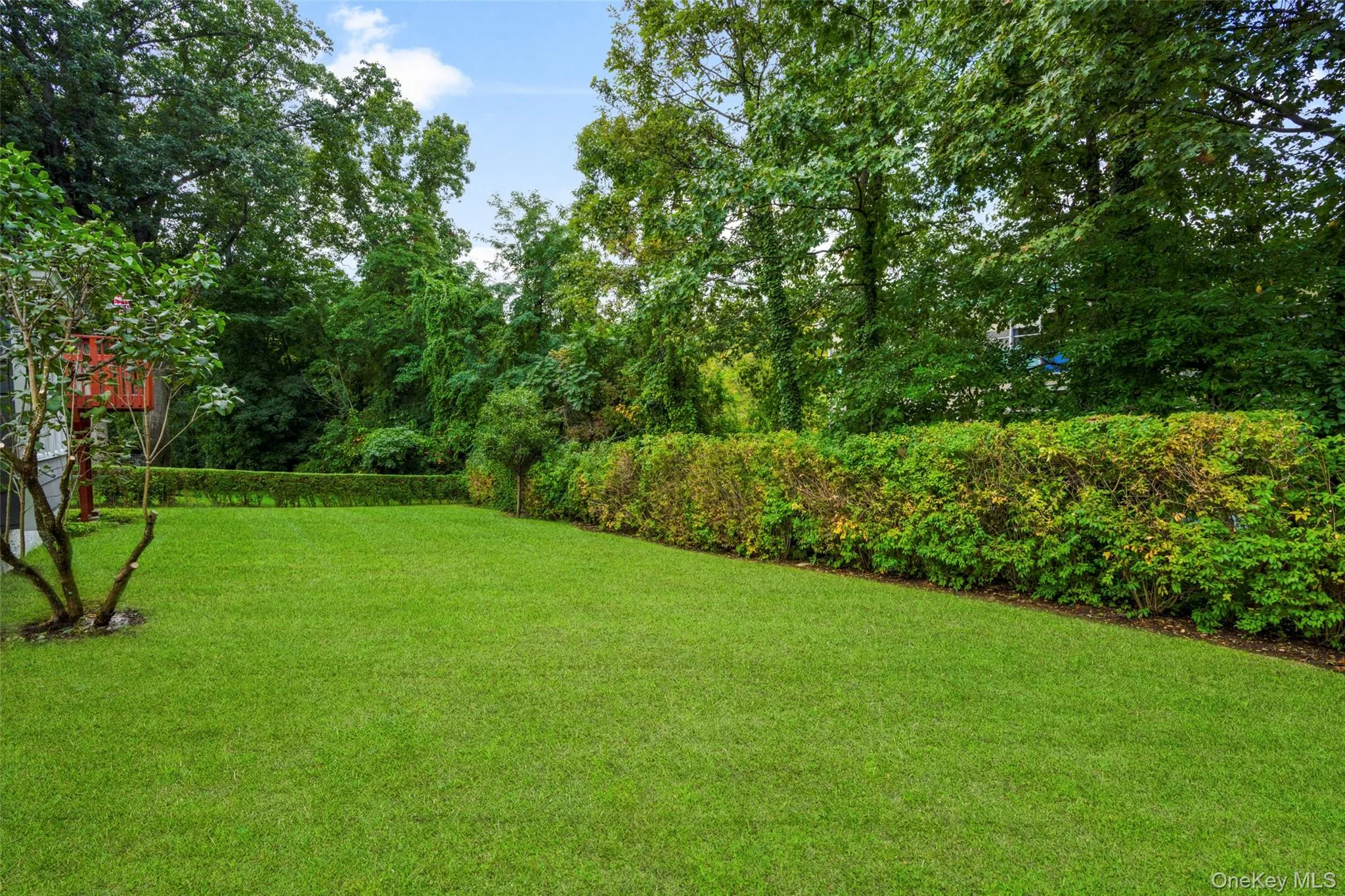 Expansive green lawn. Expansive green lawn.