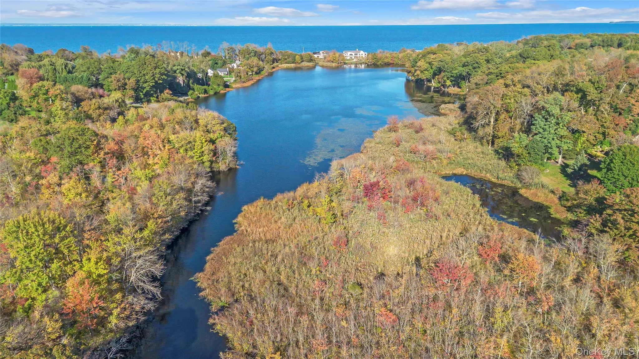 Fresh Pond Fresh Pond