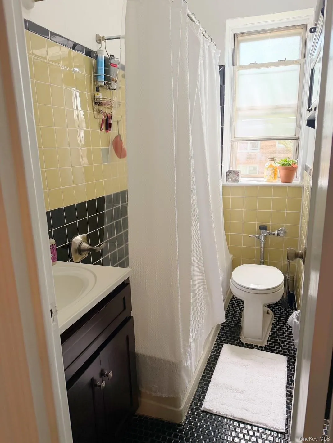 141-19 78th Road, New York, NY, 1 Bedroom Bedrooms, 3 Rooms Rooms,1 BathroomBathrooms,Residential,For Rent,78th Road,0,1059157 141-19 78th Road, New York, NY, 1 Bedroom Bedrooms, 3 Rooms Rooms,1 BathroomBathrooms,Residential,For Rent,78th Road,0,1059157