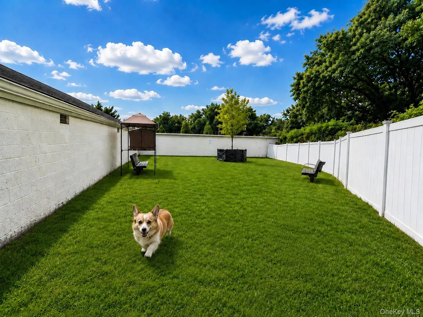 2 Mill Drive, North Hempstead, NY, 1 Bedroom Bedrooms, 4 Rooms Rooms,1 BathroomBathrooms,Residential,For Rent,Mill,0,1059188 2 Mill Drive, North Hempstead, NY, 1 Bedroom Bedrooms, 4 Rooms Rooms,1 BathroomBathrooms,Residential,For Rent,Mill,0,1059188