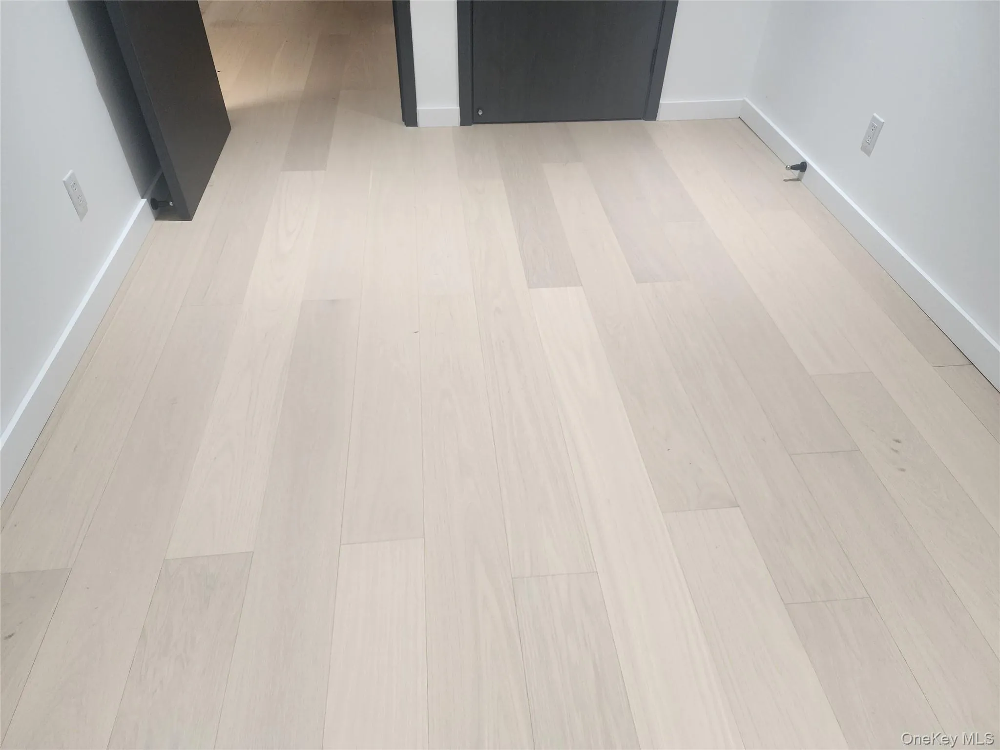 Light wood-finish flooring with white baseboards and dark-toned door frames Light wood-finish flooring with white baseboards and dark-toned door frames