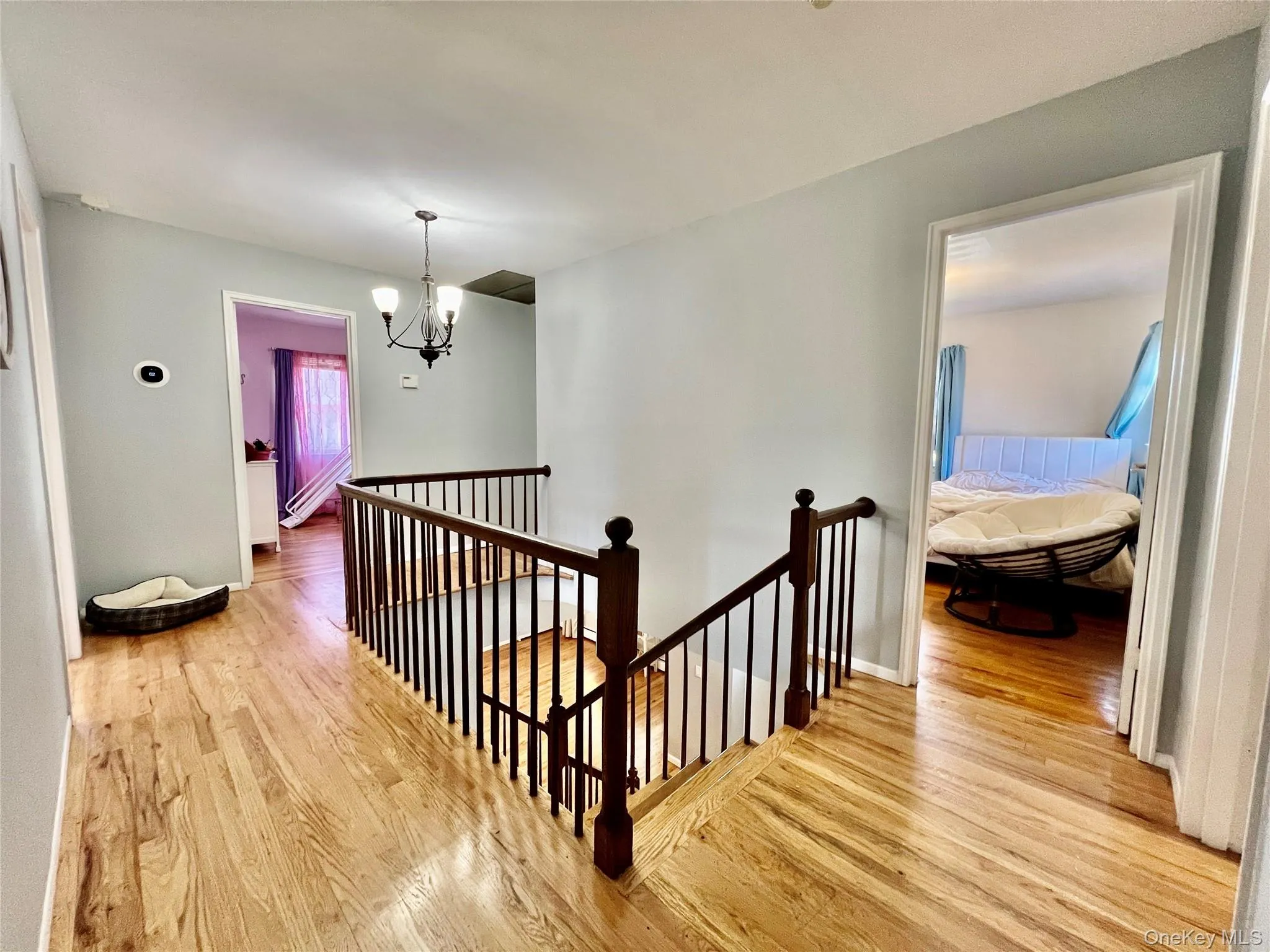 112 Ivy Lane, Hempstead, NY, 5 Bedrooms Bedrooms, 3 Rooms Rooms,2 BathroomsBathrooms,Residential,For Rent,Ivy,0,1059333 112 Ivy Lane, Hempstead, NY, 5 Bedrooms Bedrooms, 3 Rooms Rooms,2 BathroomsBathrooms,Residential,For Rent,Ivy,0,1059333