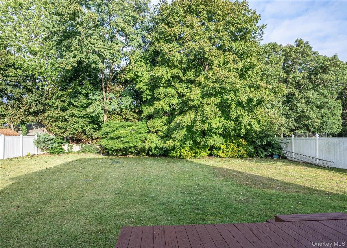 Backyard Backyard