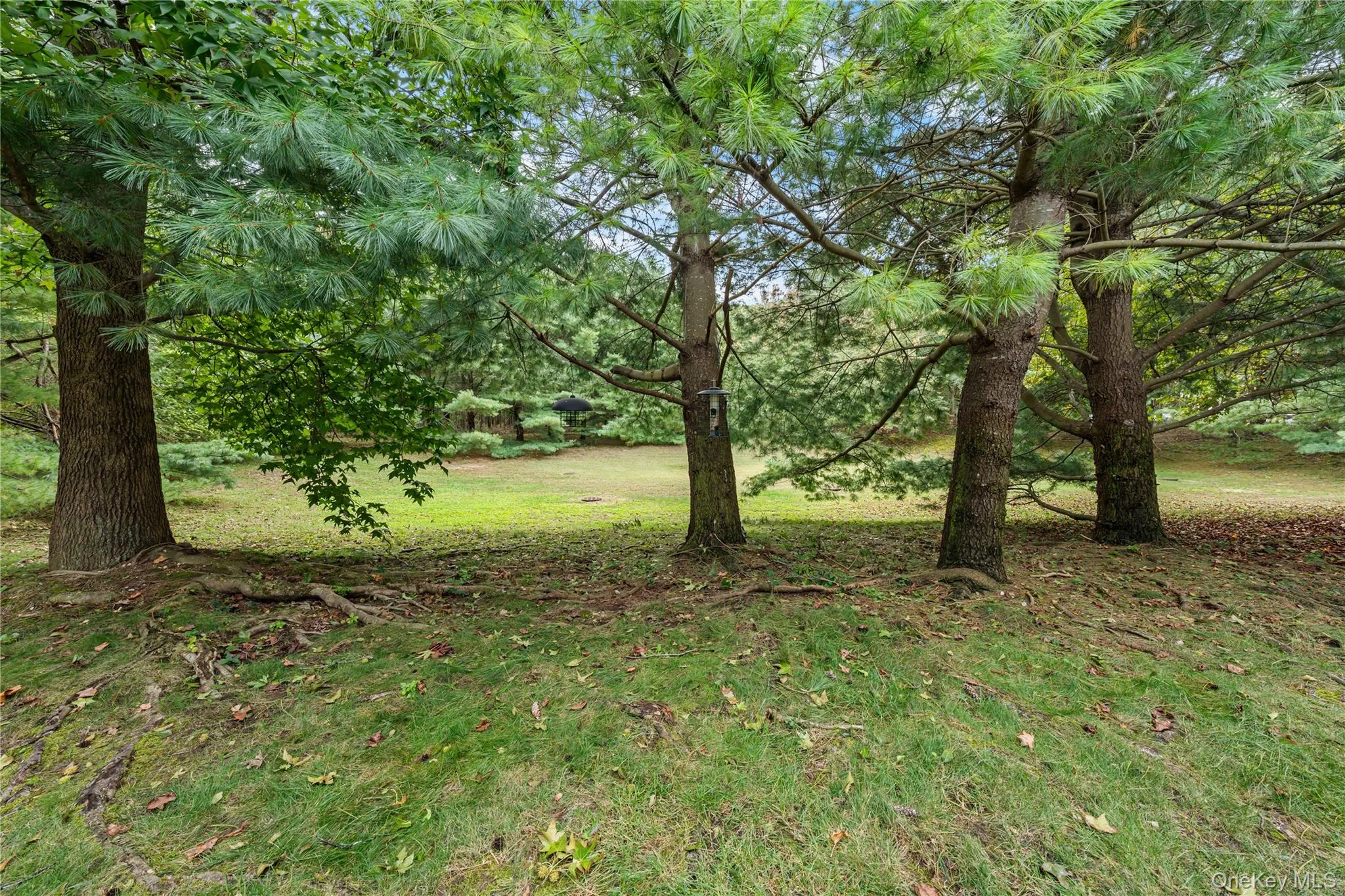 3 Victorian Lane, Brookhaven, NY, 2 Bedrooms Bedrooms, 4 Rooms Rooms,1 BathroomBathrooms,Residential,For Rent,Victorian,0,1059458 3 Victorian Lane, Brookhaven, NY, 2 Bedrooms Bedrooms, 4 Rooms Rooms,1 BathroomBathrooms,Residential,For Rent,Victorian,0,1059458
