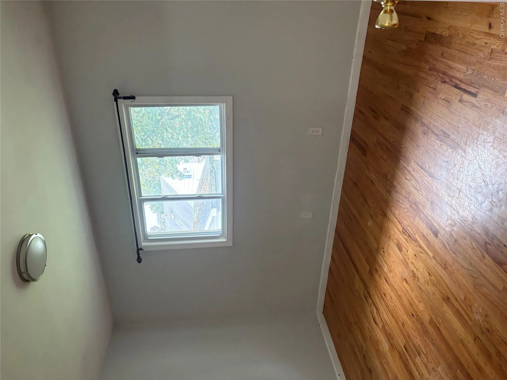 290 Leaf Avenue, Islip, NY, 3 Bedroom Bedrooms, 4 Room Rooms,1 BathroomBathrooms,Residential Lease,For Rent,Leaf,0,1059482 290 Leaf Avenue, Islip, NY, 3 Bedroom Bedrooms, 4 Room Rooms,1 BathroomBathrooms,Residential Lease,For Rent,Leaf,0,1059482