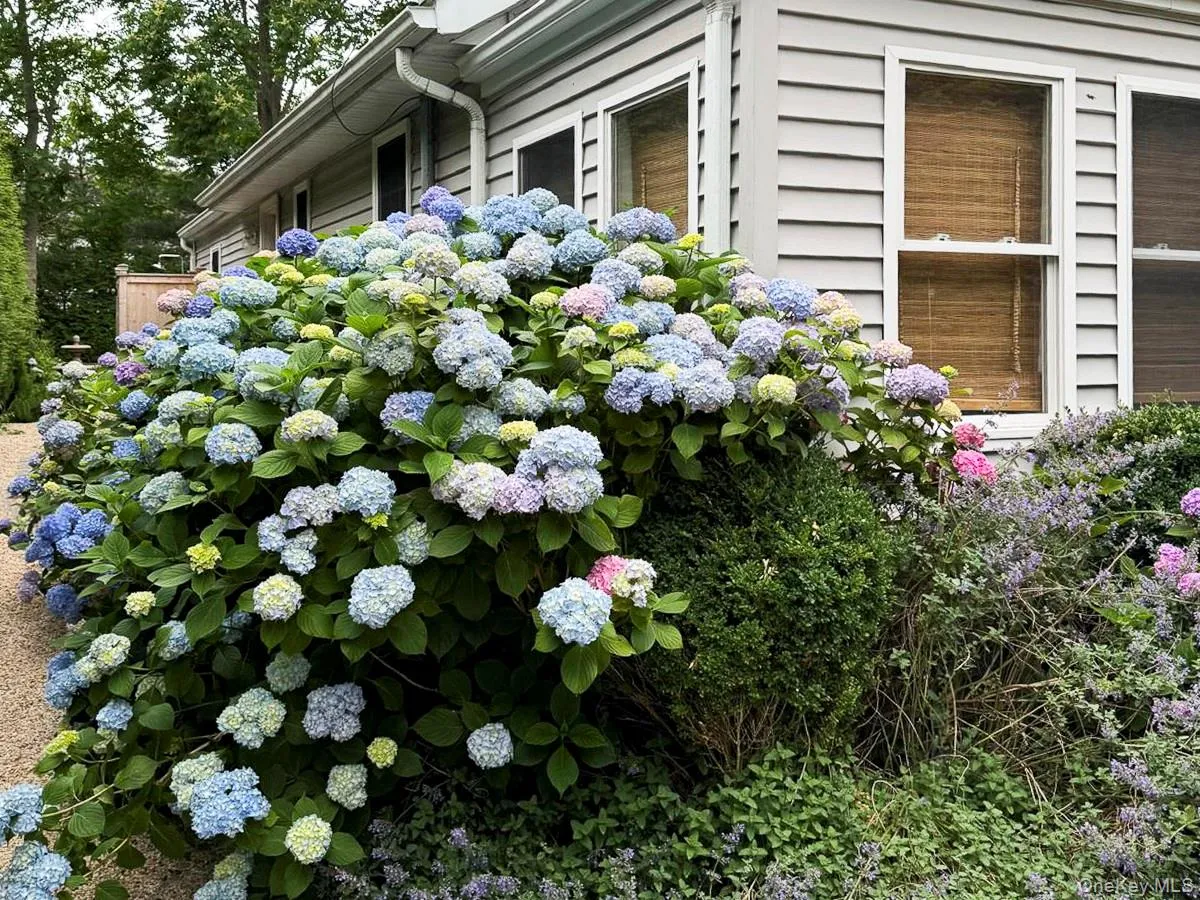 77 Hillcrest Avenue, Southampton, NY, 3 Bedroom Bedrooms, 9 Room Rooms,2 BathroomBathrooms,Residential Lease,For Rent,Hillcrest,0,1059485 77 Hillcrest Avenue, Southampton, NY, 3 Bedroom Bedrooms, 9 Room Rooms,2 BathroomBathrooms,Residential Lease,For Rent,Hillcrest,0,1059485