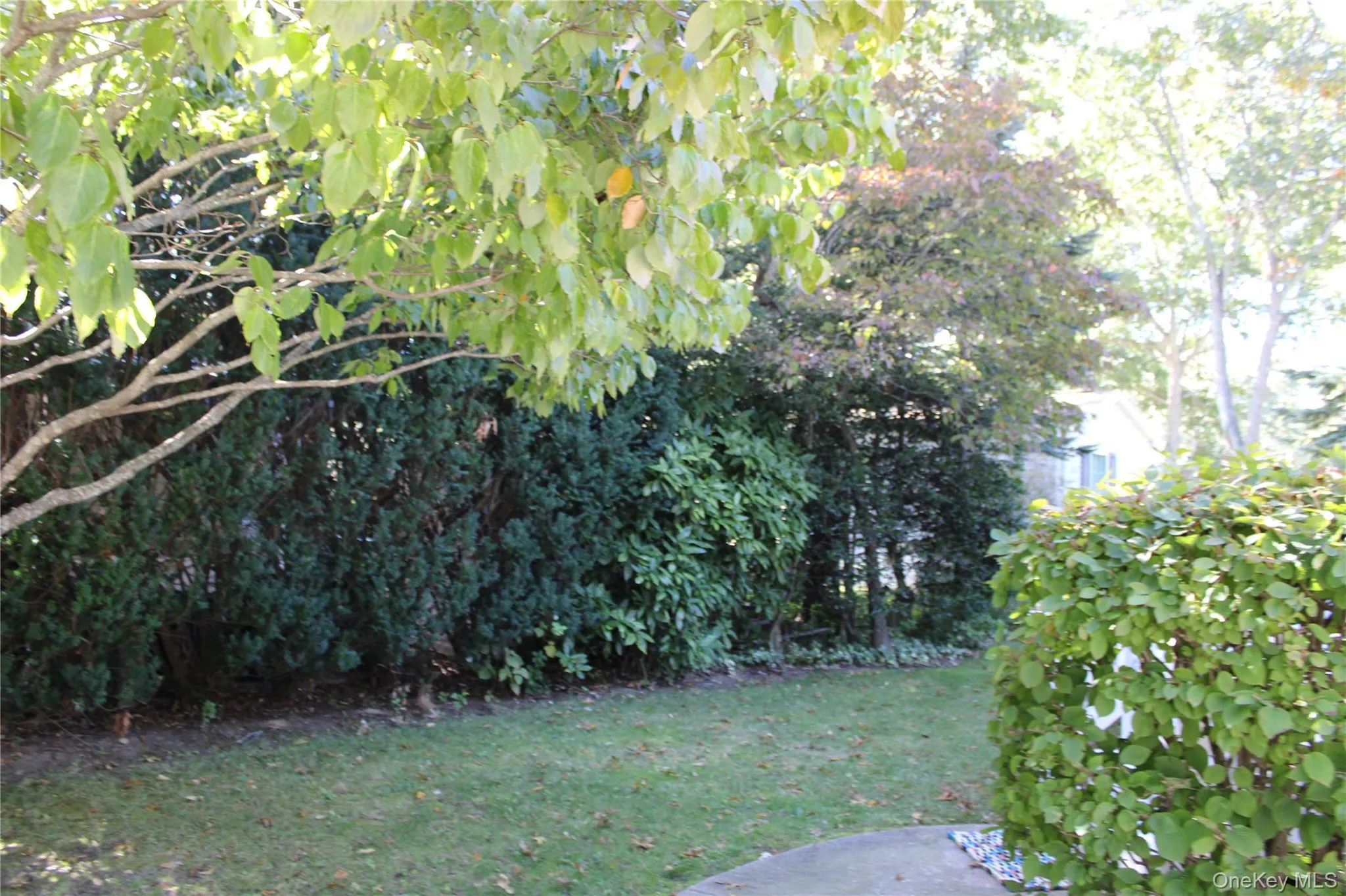 1661 Old Country Road, Riverhead, NY, 2 Bedrooms Bedrooms, 5 Rooms Rooms,2 BathroomsBathrooms,Residential,For Rent,Old Country,0,1059497 1661 Old Country Road, Riverhead, NY, 2 Bedrooms Bedrooms, 5 Rooms Rooms,2 BathroomsBathrooms,Residential,For Rent,Old Country,0,1059497