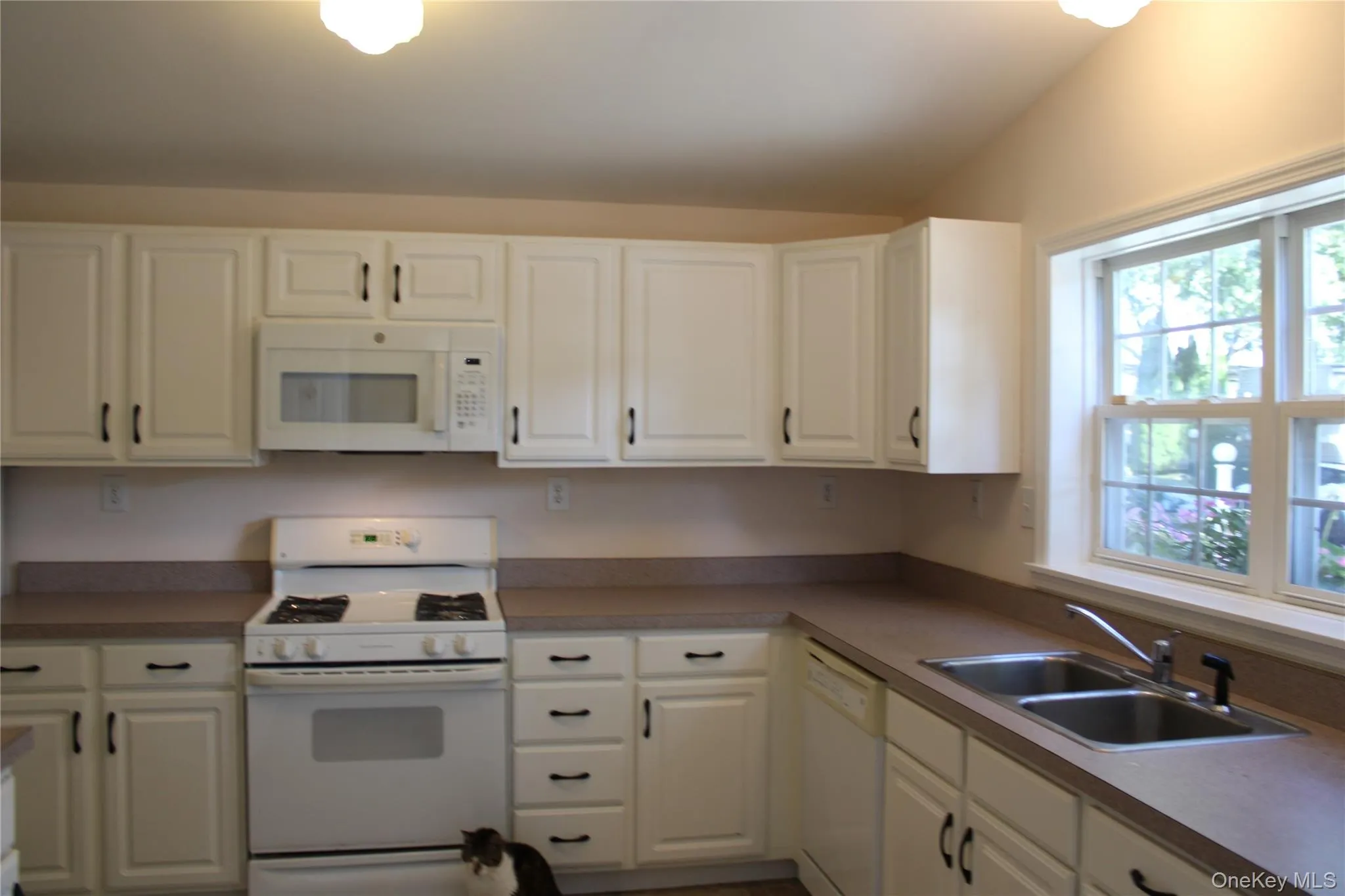 1661 Old Country Road, Riverhead, NY, 2 Bedrooms Bedrooms, 5 Rooms Rooms,2 BathroomsBathrooms,Residential,For Rent,Old Country,0,1059497 1661 Old Country Road, Riverhead, NY, 2 Bedrooms Bedrooms, 5 Rooms Rooms,2 BathroomsBathrooms,Residential,For Rent,Old Country,0,1059497