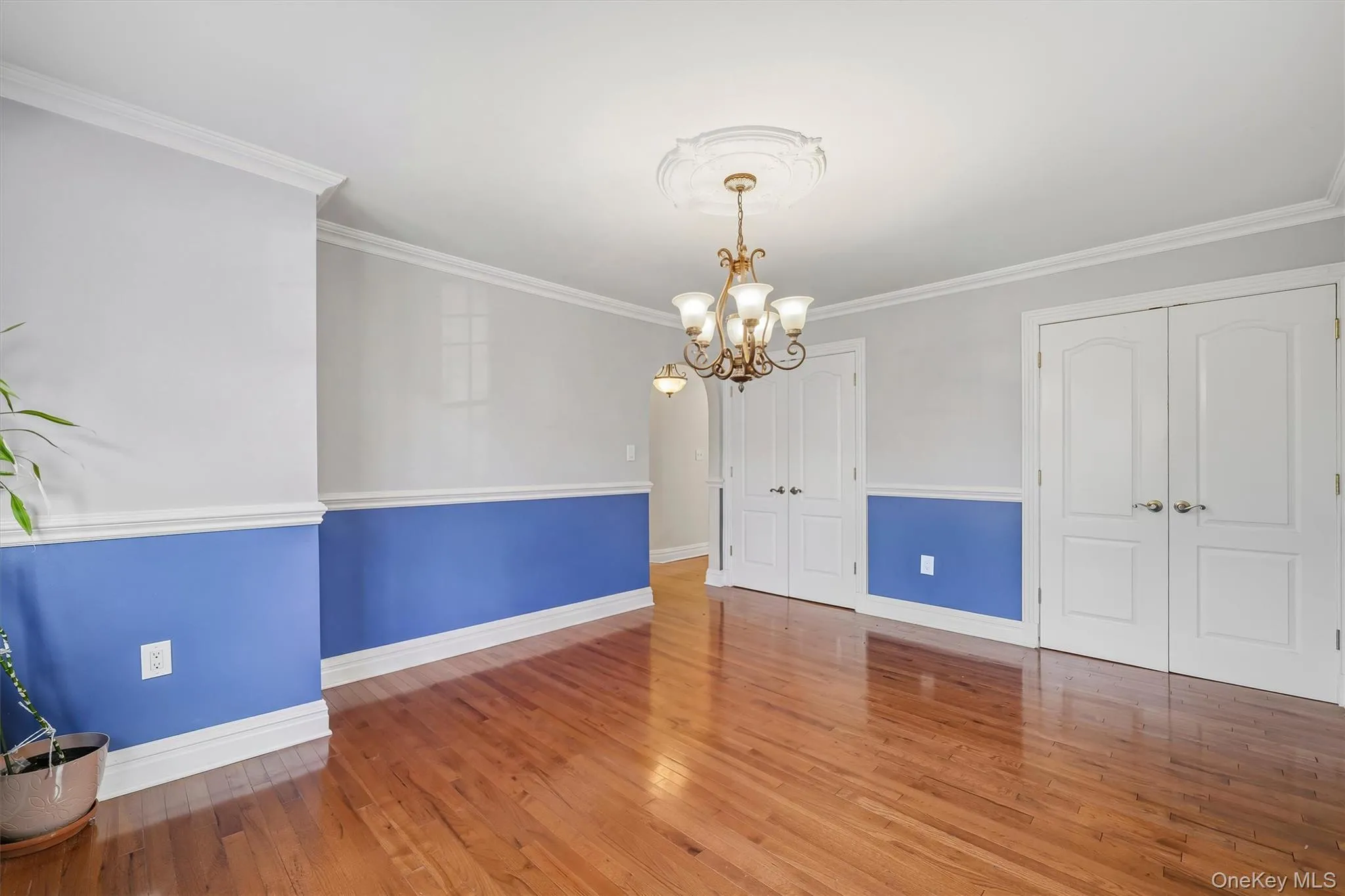 26 Custer Avenue, Yonkers, NY, 4 Bedrooms Bedrooms, 6 Rooms Rooms,2 BathroomsBathrooms,Residential,For Rent,Custer,0,1059498 26 Custer Avenue, Yonkers, NY, 4 Bedrooms Bedrooms, 6 Rooms Rooms,2 BathroomsBathrooms,Residential,For Rent,Custer,0,1059498
