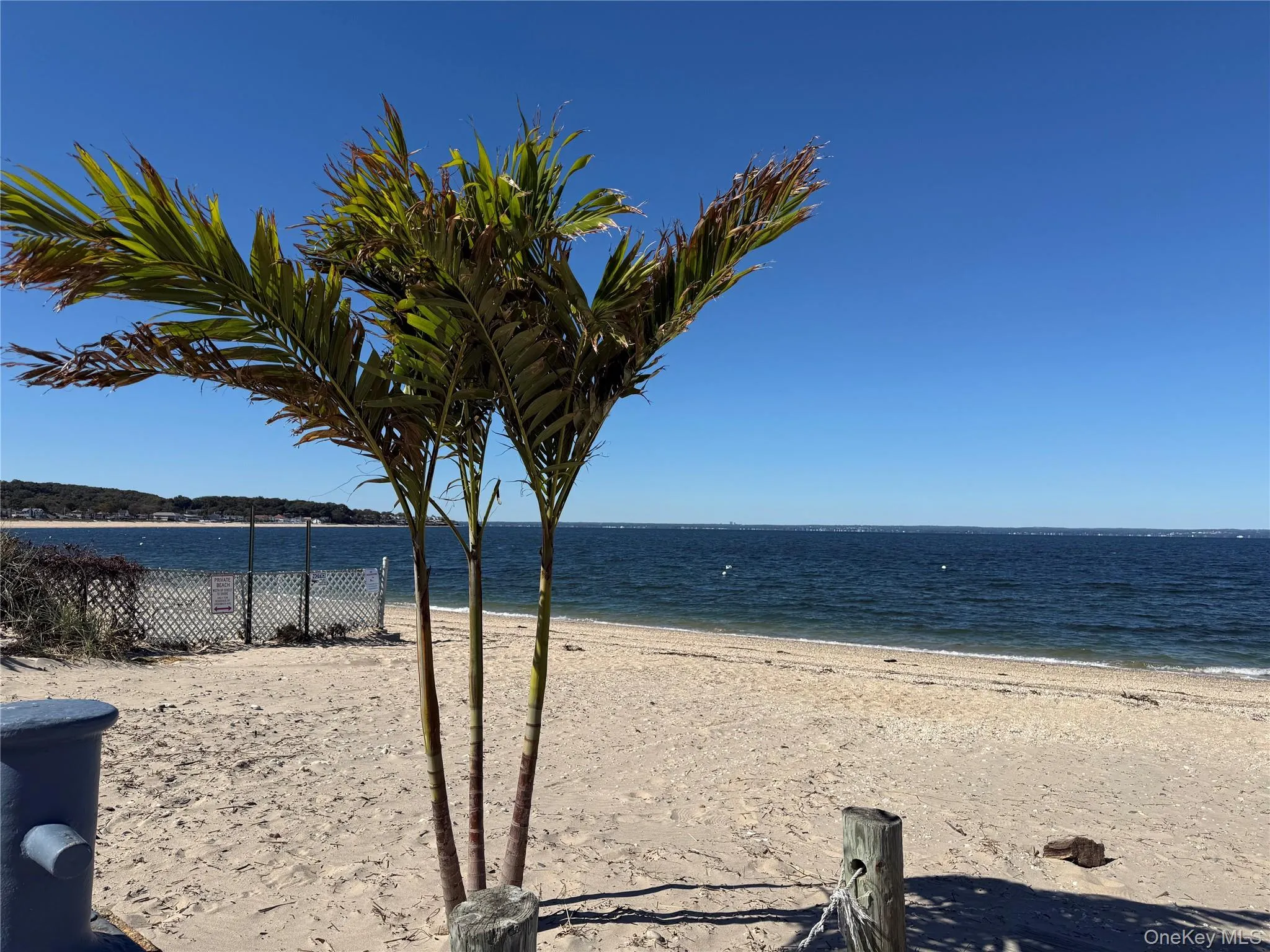 355 Bayville Avenue, Oyster Bay, NY, 1 Bedroom Bedrooms, 3 Room Rooms,1 BathroomBathrooms,Residential Lease,For Rent,Bayville,0,1059514 355 Bayville Avenue, Oyster Bay, NY, 1 Bedroom Bedrooms, 3 Room Rooms,1 BathroomBathrooms,Residential Lease,For Rent,Bayville,0,1059514