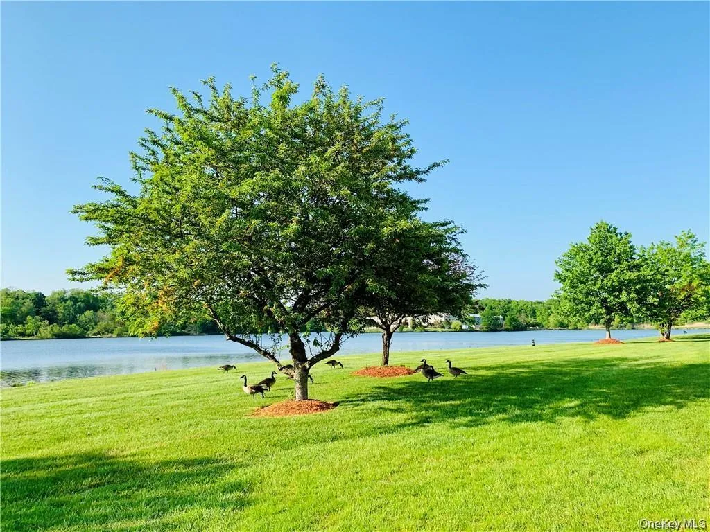 10 Kensington Way, Middletown, NY, 2 Bedrooms Bedrooms, 5 Rooms Rooms,1 BathroomBathrooms,Residential Lease,For Rent,Kensington,0,1059526 10 Kensington Way, Middletown, NY, 2 Bedrooms Bedrooms, 5 Rooms Rooms,1 BathroomBathrooms,Residential Lease,For Rent,Kensington,0,1059526