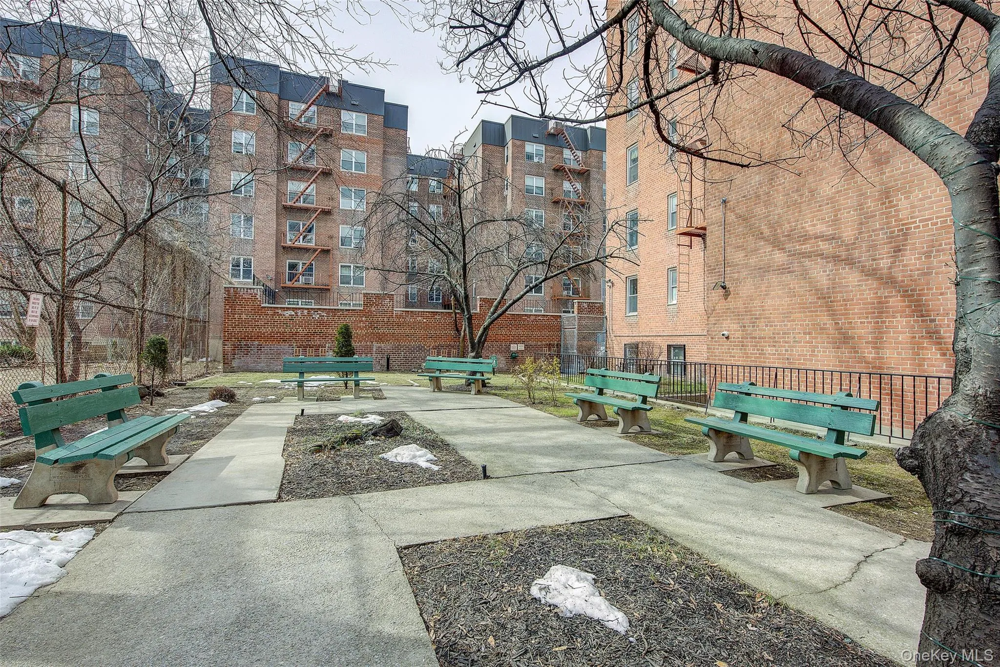 33-25 81 Street, New York, NY, 1 Bedroom Bedrooms, 3 Room Rooms,1 BathroomBathrooms,Residential Lease,For Rent,81,0,1059539 33-25 81 Street, New York, NY, 1 Bedroom Bedrooms, 3 Room Rooms,1 BathroomBathrooms,Residential Lease,For Rent,81,0,1059539