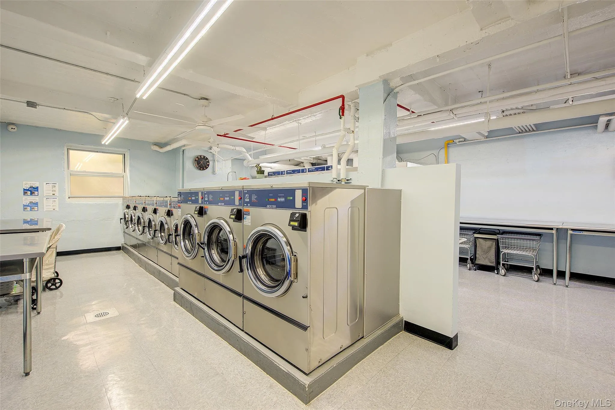 33-25 81 Street, New York, NY, 1 Bedroom Bedrooms, 3 Room Rooms,1 BathroomBathrooms,Residential Lease,For Rent,81,0,1059539 33-25 81 Street, New York, NY, 1 Bedroom Bedrooms, 3 Room Rooms,1 BathroomBathrooms,Residential Lease,For Rent,81,0,1059539