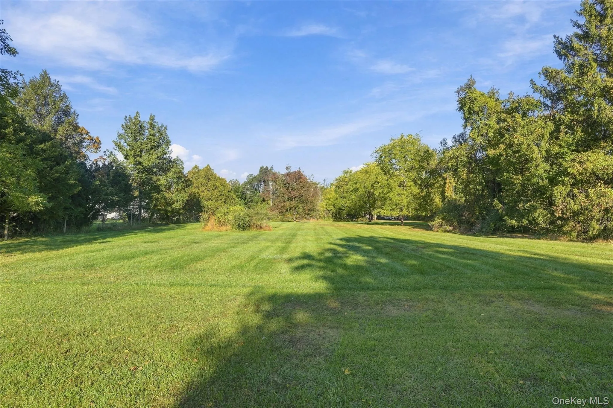 12 Lollypoppy Lane, Marbletown, NY, ,Land,For Rent,Lollypoppy,0,1059553 12 Lollypoppy Lane, Marbletown, NY, ,Land,For Rent,Lollypoppy,0,1059553