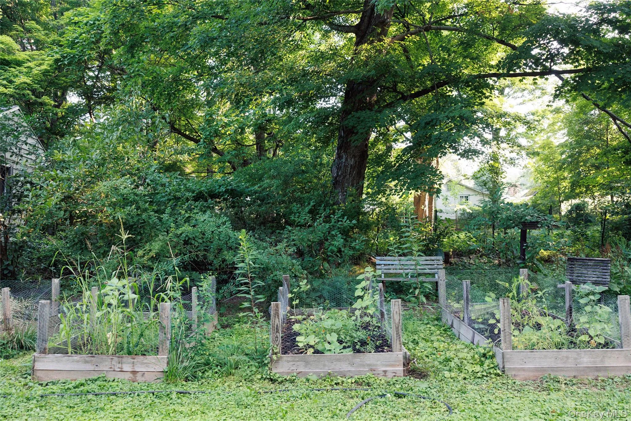 72 Rock City Road, Woodstock, NY, 3 Bedrooms Bedrooms, 7 Rooms Rooms,2 BathroomsBathrooms,Residential,For Rent,Rock City,0,1059628 72 Rock City Road, Woodstock, NY, 3 Bedrooms Bedrooms, 7 Rooms Rooms,2 BathroomsBathrooms,Residential,For Rent,Rock City,0,1059628