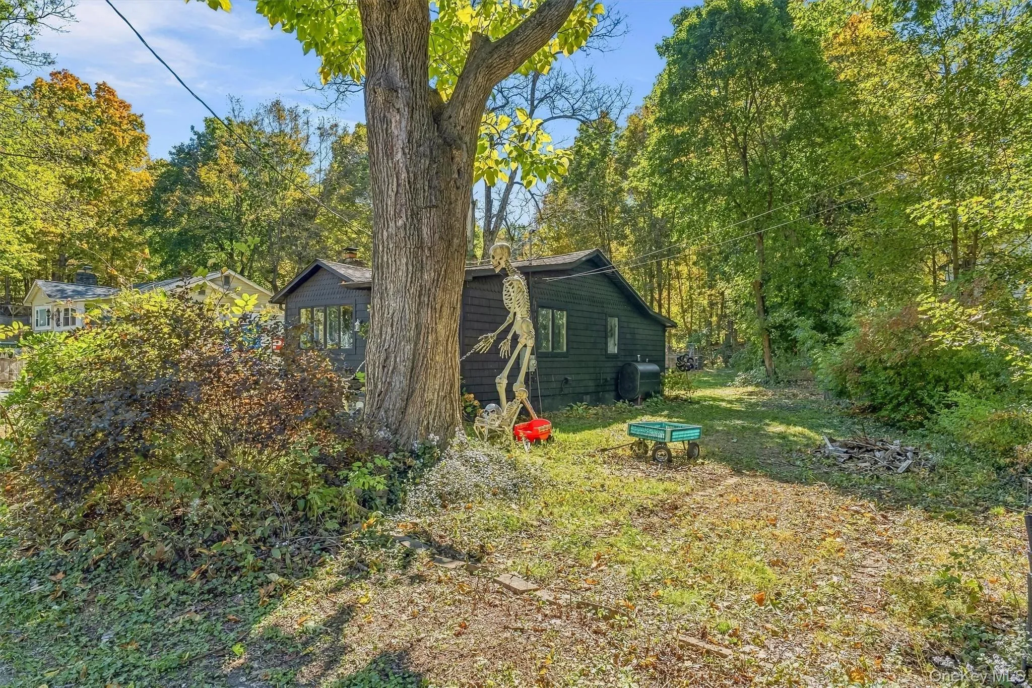 6 Moran Trail, Blooming Grove, NY, 2 Bedrooms Bedrooms, 5 Rooms Rooms,1 BathroomBathrooms,Residential,For Rent,Moran,0,1059677 6 Moran Trail, Blooming Grove, NY, 2 Bedrooms Bedrooms, 5 Rooms Rooms,1 BathroomBathrooms,Residential,For Rent,Moran,0,1059677