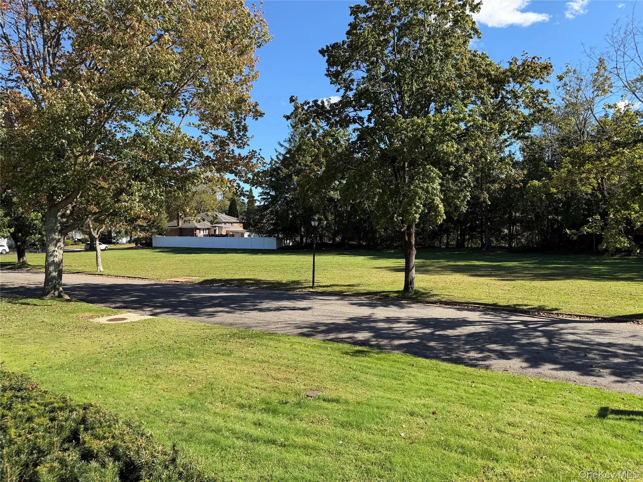 Green Space Across from home Green Space Across from home