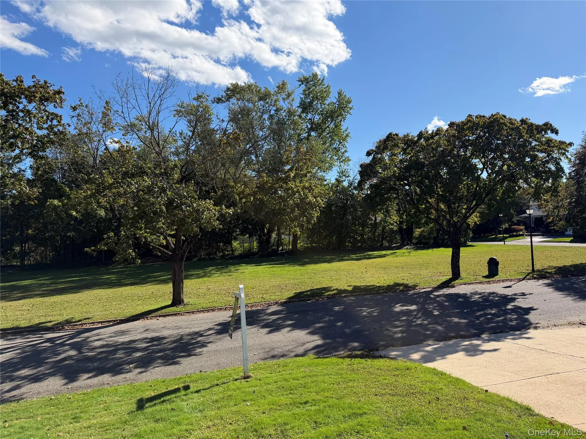 Green Space Across from home Green Space Across from home