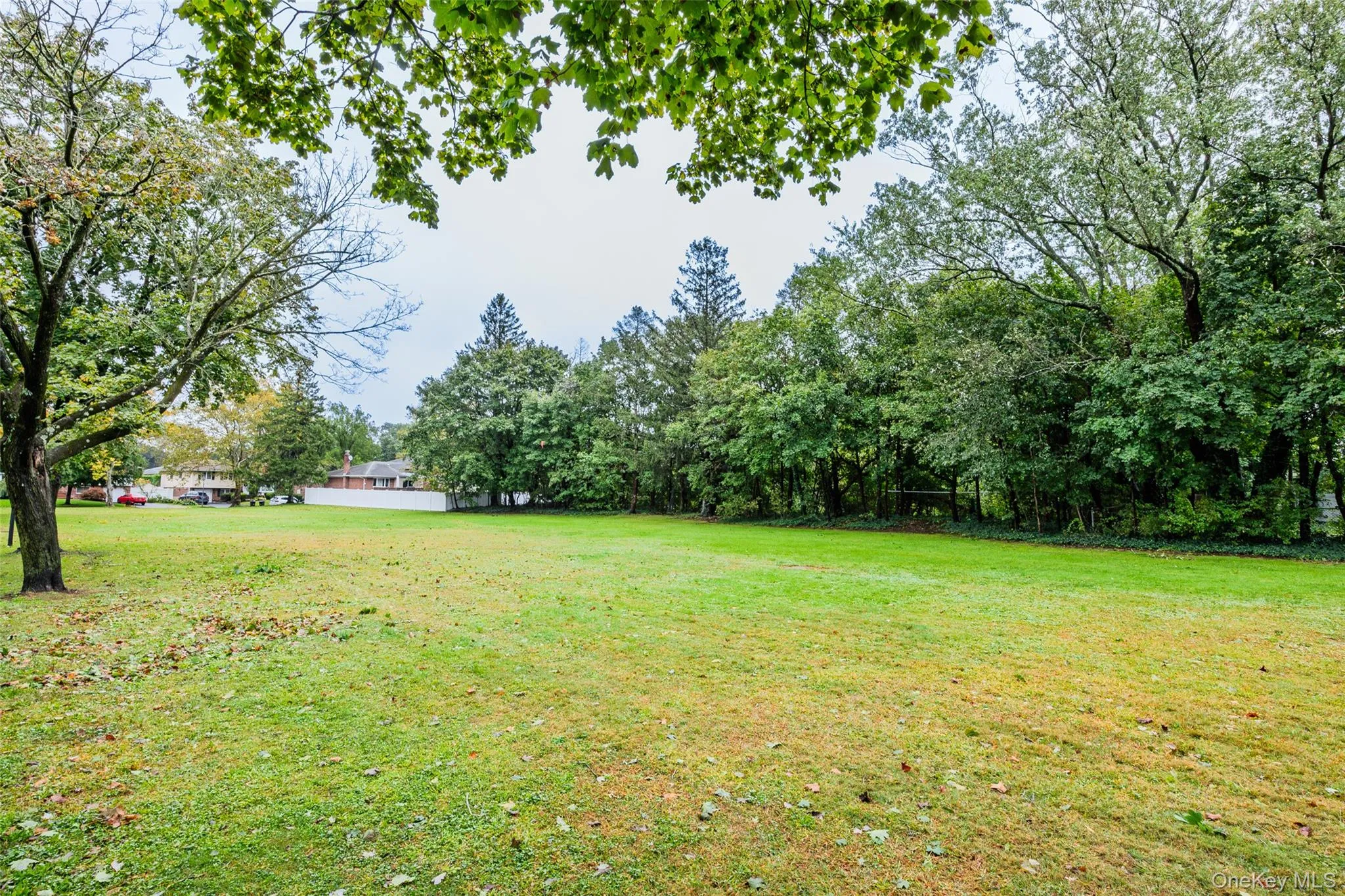 NO BUILD-Green Space Across from home NO BUILD-Green Space Across from home
