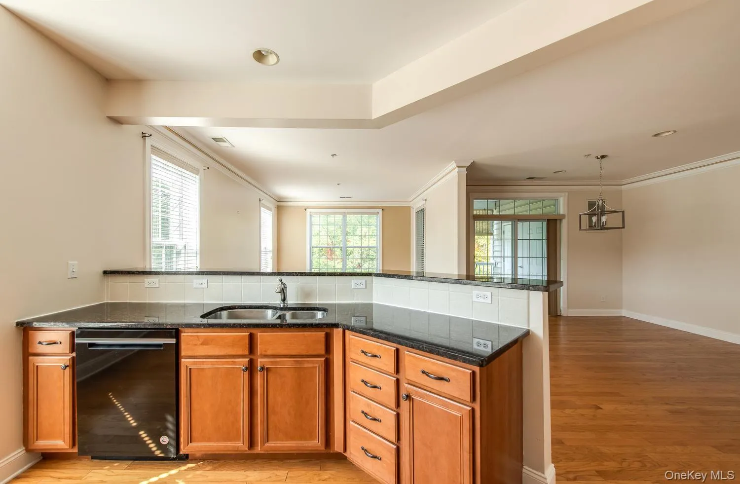 231 Regency Drive, Fishkill, NY, 1 Bedroom Bedrooms, 5 Rooms Rooms,2 BathroomsBathrooms,Residential,For Rent,Regency,0,1059790 231 Regency Drive, Fishkill, NY, 1 Bedroom Bedrooms, 5 Rooms Rooms,2 BathroomsBathrooms,Residential,For Rent,Regency,0,1059790