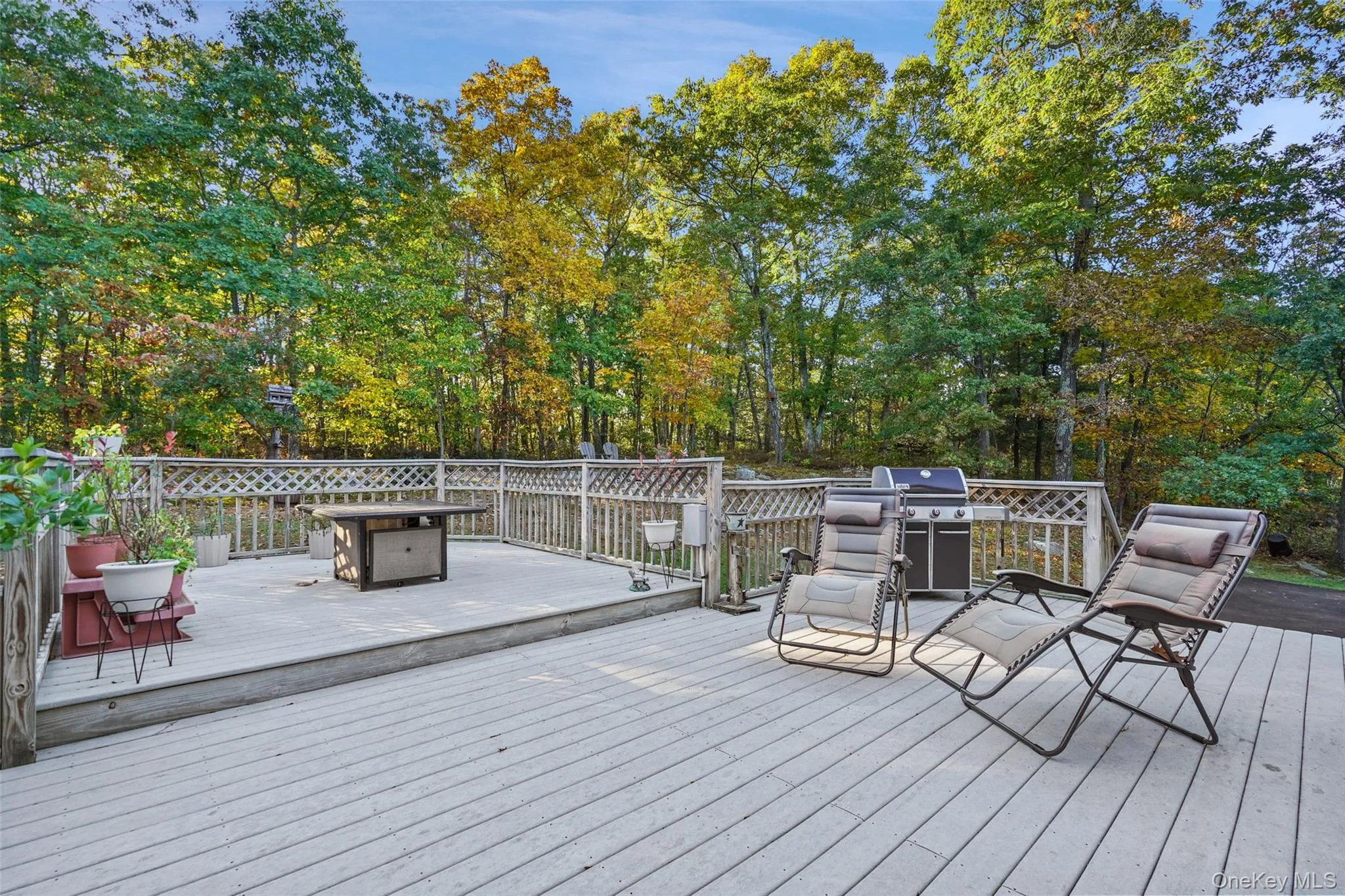54 White Pond Road, East Fishkill, NY, 4 Bedrooms Bedrooms, 10 Rooms Rooms,2 BathroomsBathrooms,Residential,For Rent,White Pond,0,1059796 54 White Pond Road, East Fishkill, NY, 4 Bedrooms Bedrooms, 10 Rooms Rooms,2 BathroomsBathrooms,Residential,For Rent,White Pond,0,1059796