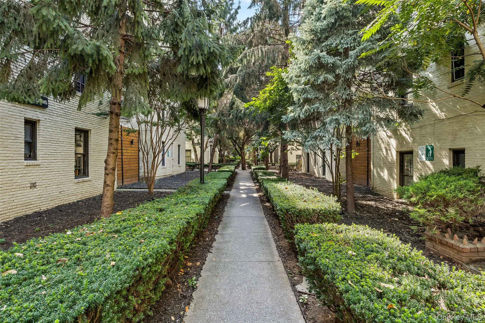 21-48 35th Street, New York, NY, 2 Bedrooms Bedrooms, 4 Rooms Rooms,1 BathroomBathrooms,Residential,For Rent,35th,0,1059812 21-48 35th Street, New York, NY, 2 Bedrooms Bedrooms, 4 Rooms Rooms,1 BathroomBathrooms,Residential,For Rent,35th,0,1059812