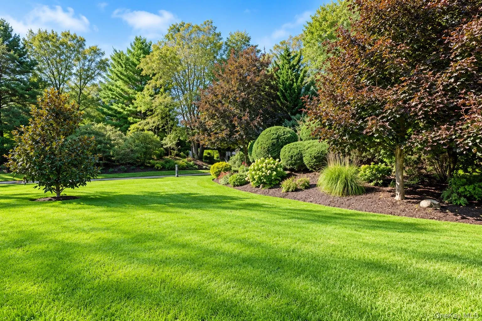 581 Verona Drive, Huntington, NY, 2 Bedrooms Bedrooms, 6 Rooms Rooms,2 BathroomsBathrooms,Residential,For Rent,Verona,0,1059822 581 Verona Drive, Huntington, NY, 2 Bedrooms Bedrooms, 6 Rooms Rooms,2 BathroomsBathrooms,Residential,For Rent,Verona,0,1059822