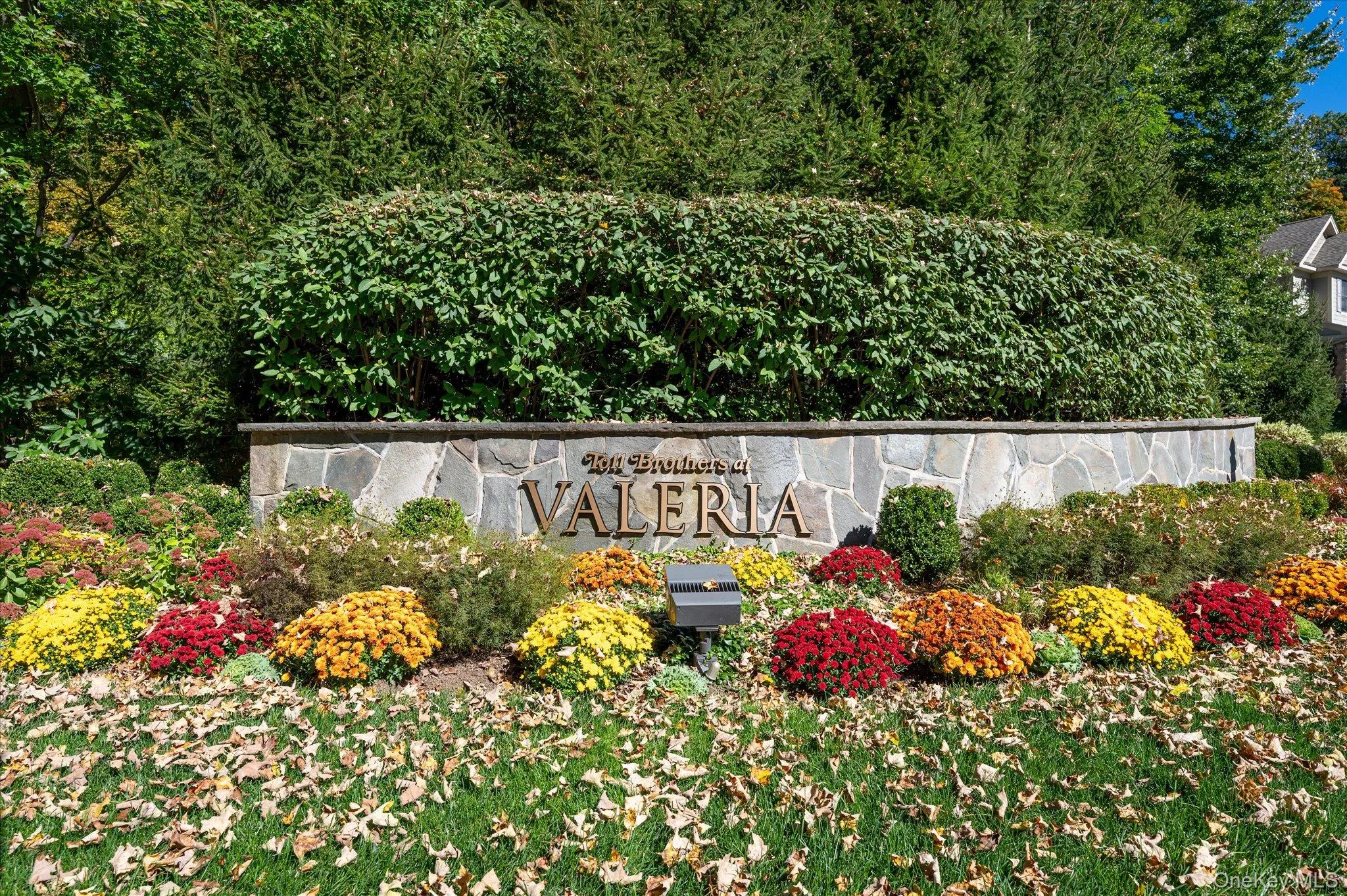 13 Bernheimer Lane, Cortlandt, NY, 2 Bedrooms Bedrooms, 11 Rooms Rooms,2 BathroomsBathrooms,Residential,For Rent,Bernheimer,0,1059829 13 Bernheimer Lane, Cortlandt, NY, 2 Bedrooms Bedrooms, 11 Rooms Rooms,2 BathroomsBathrooms,Residential,For Rent,Bernheimer,0,1059829