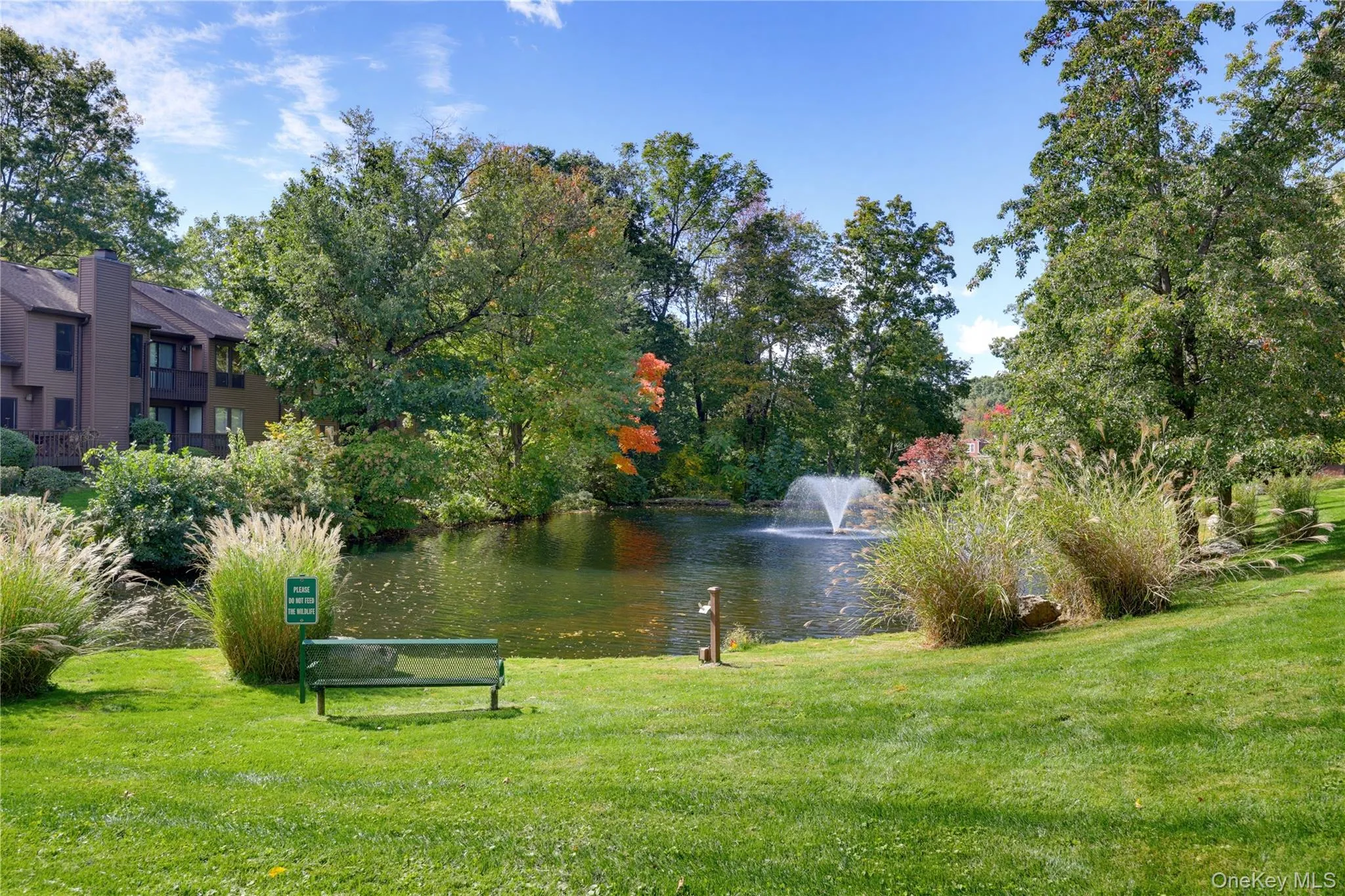 113 Woods Brooke Circle, Ossining, NY, 1 Bedroom Bedrooms, 7 Rooms Rooms,2 BathroomsBathrooms,Residential,For Rent,Woods Brooke,0,1059886 113 Woods Brooke Circle, Ossining, NY, 1 Bedroom Bedrooms, 7 Rooms Rooms,2 BathroomsBathrooms,Residential,For Rent,Woods Brooke,0,1059886