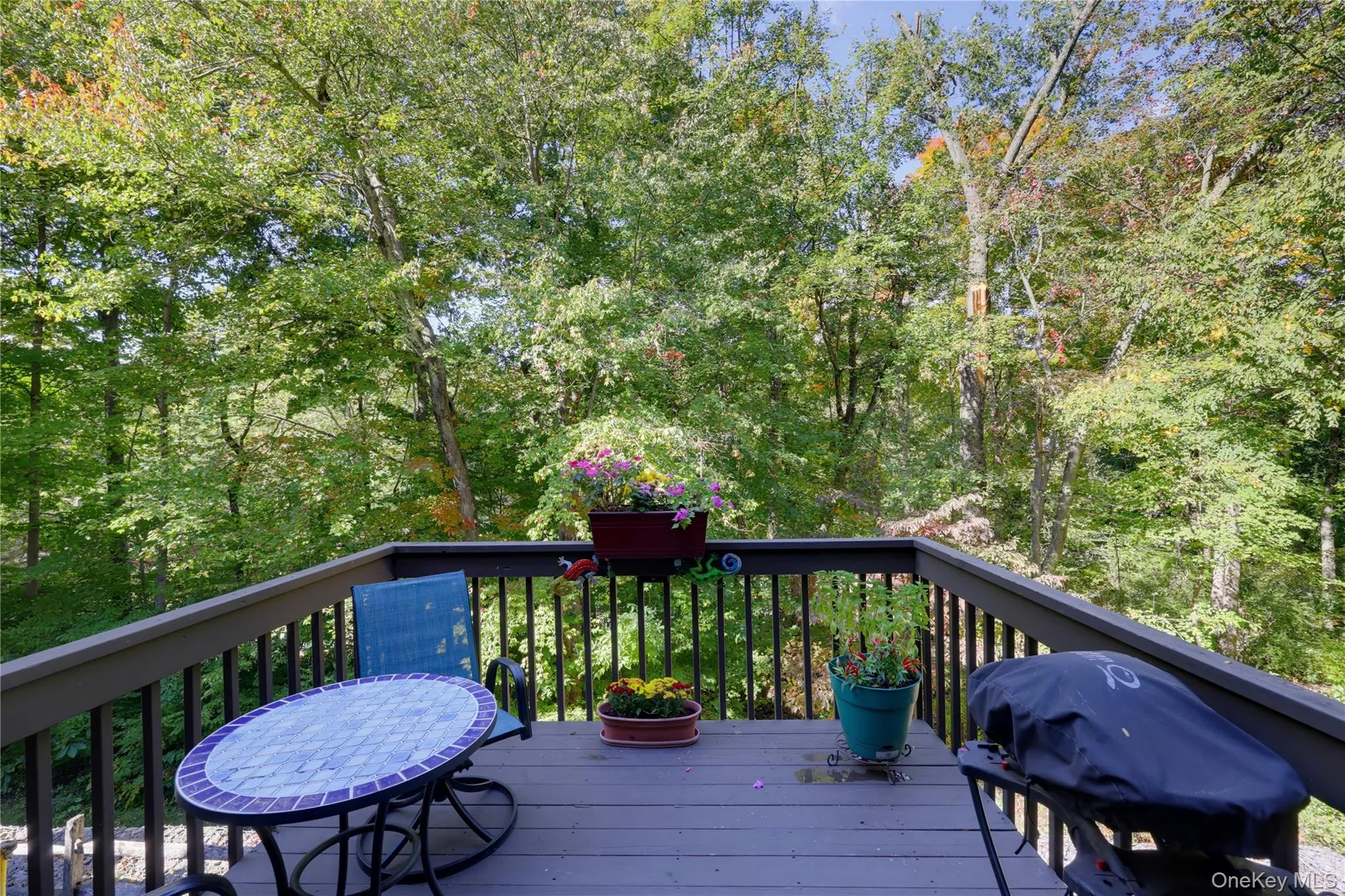 113 Woods Brooke Circle, Ossining, NY, 1 Bedroom Bedrooms, 7 Rooms Rooms,2 BathroomsBathrooms,Residential,For Rent,Woods Brooke,0,1059886 113 Woods Brooke Circle, Ossining, NY, 1 Bedroom Bedrooms, 7 Rooms Rooms,2 BathroomsBathrooms,Residential,For Rent,Woods Brooke,0,1059886