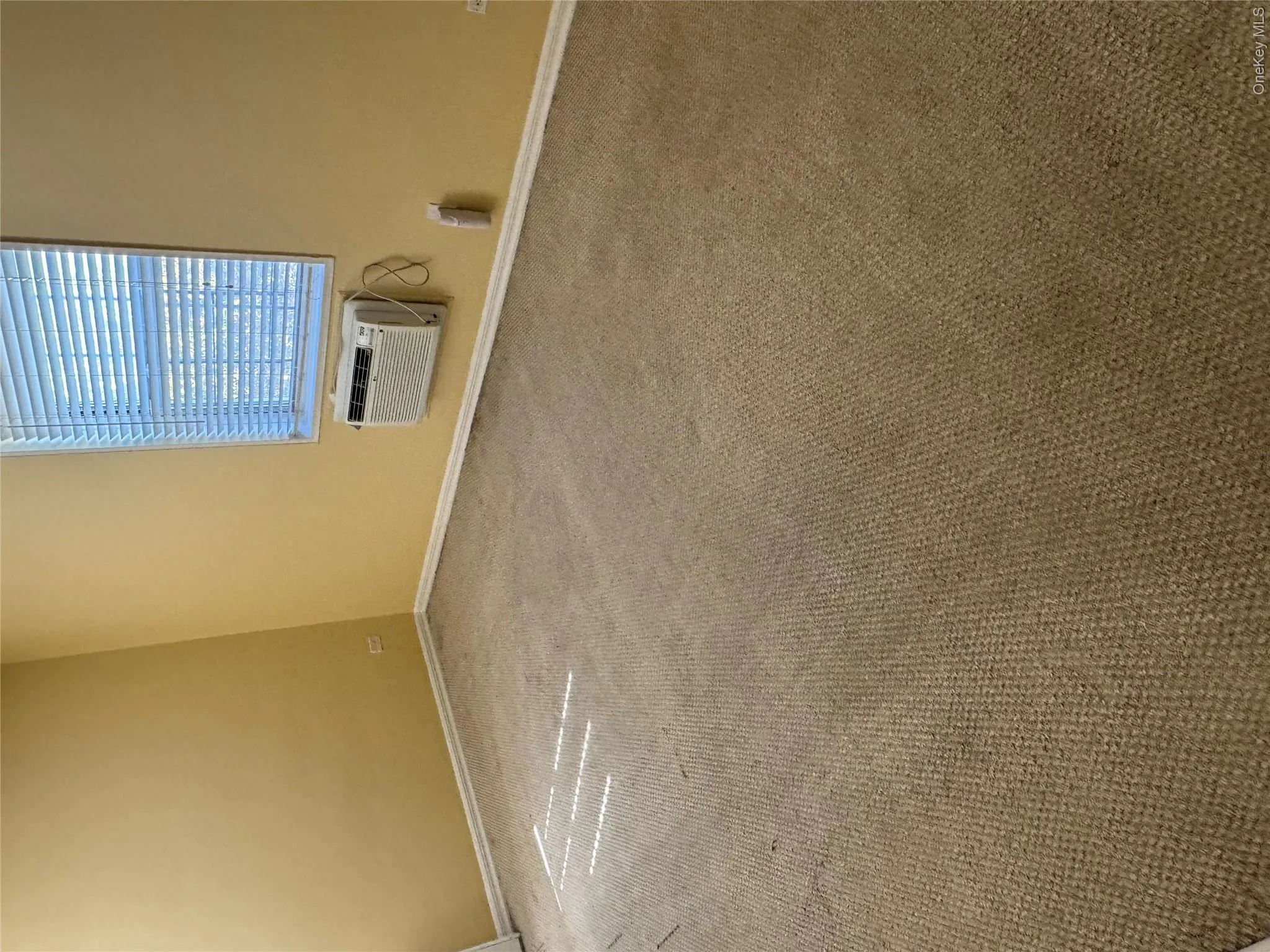 151-15 84th Street, New York, NY, 2 Bedrooms Bedrooms, 5 Rooms Rooms,2 BathroomsBathrooms,Residential,For Rent,84th,0,1059925 151-15 84th Street, New York, NY, 2 Bedrooms Bedrooms, 5 Rooms Rooms,2 BathroomsBathrooms,Residential,For Rent,84th,0,1059925