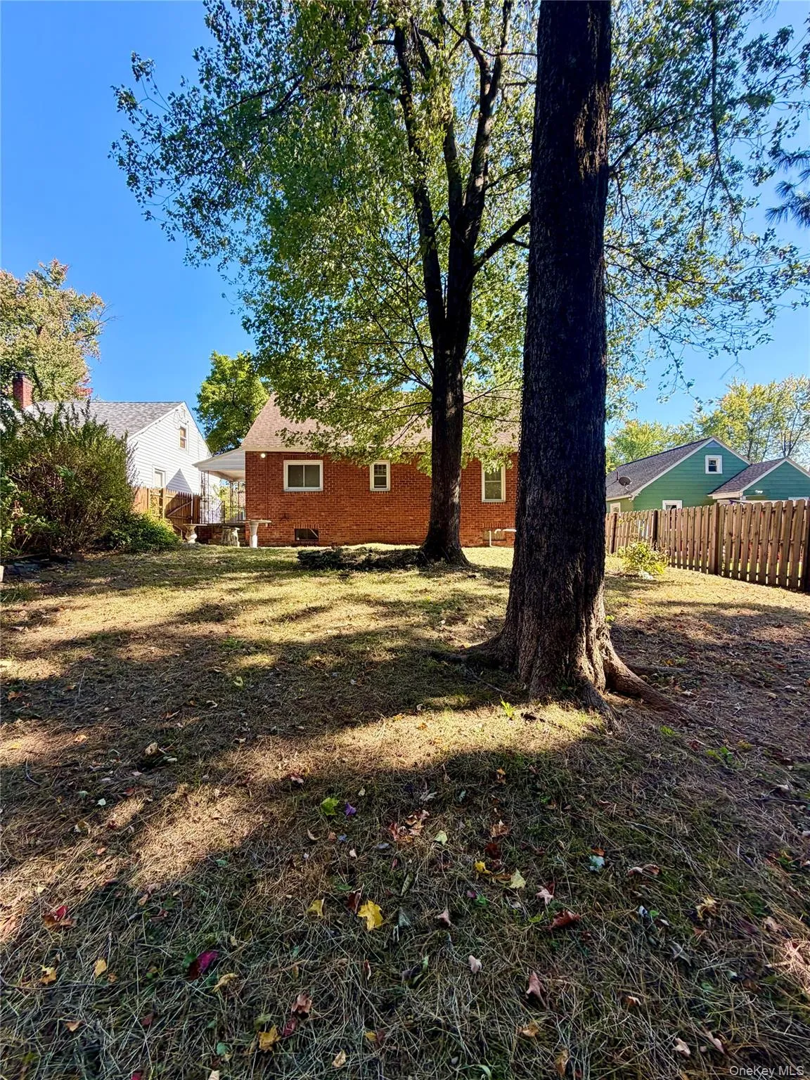 Large back yard Large back yard