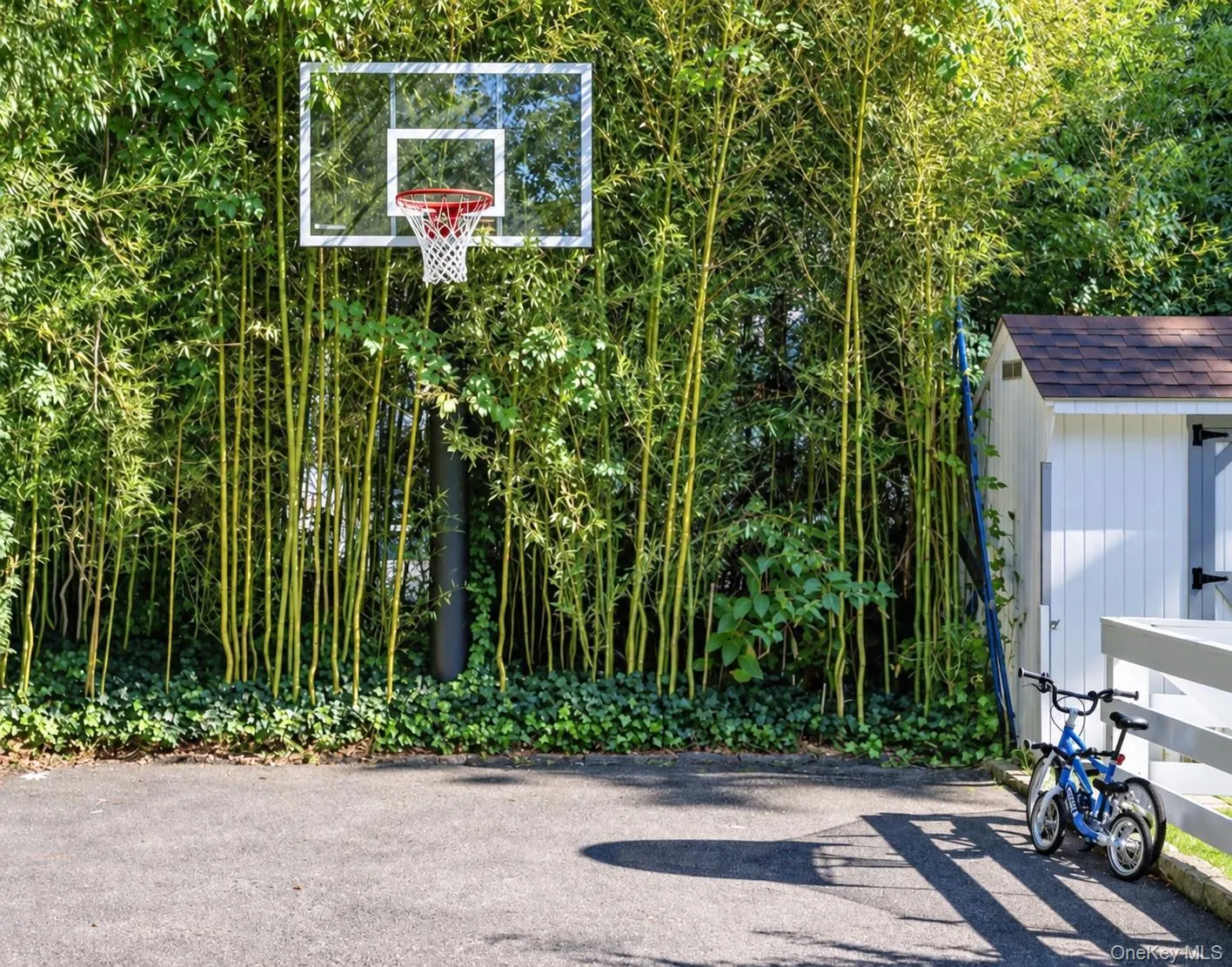 Flat driveway ideal for basketball Flat driveway ideal for basketball