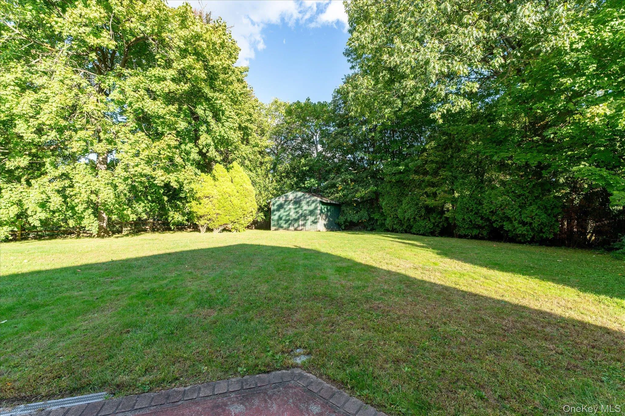 Back yard with large storage shed Back yard with large storage shed