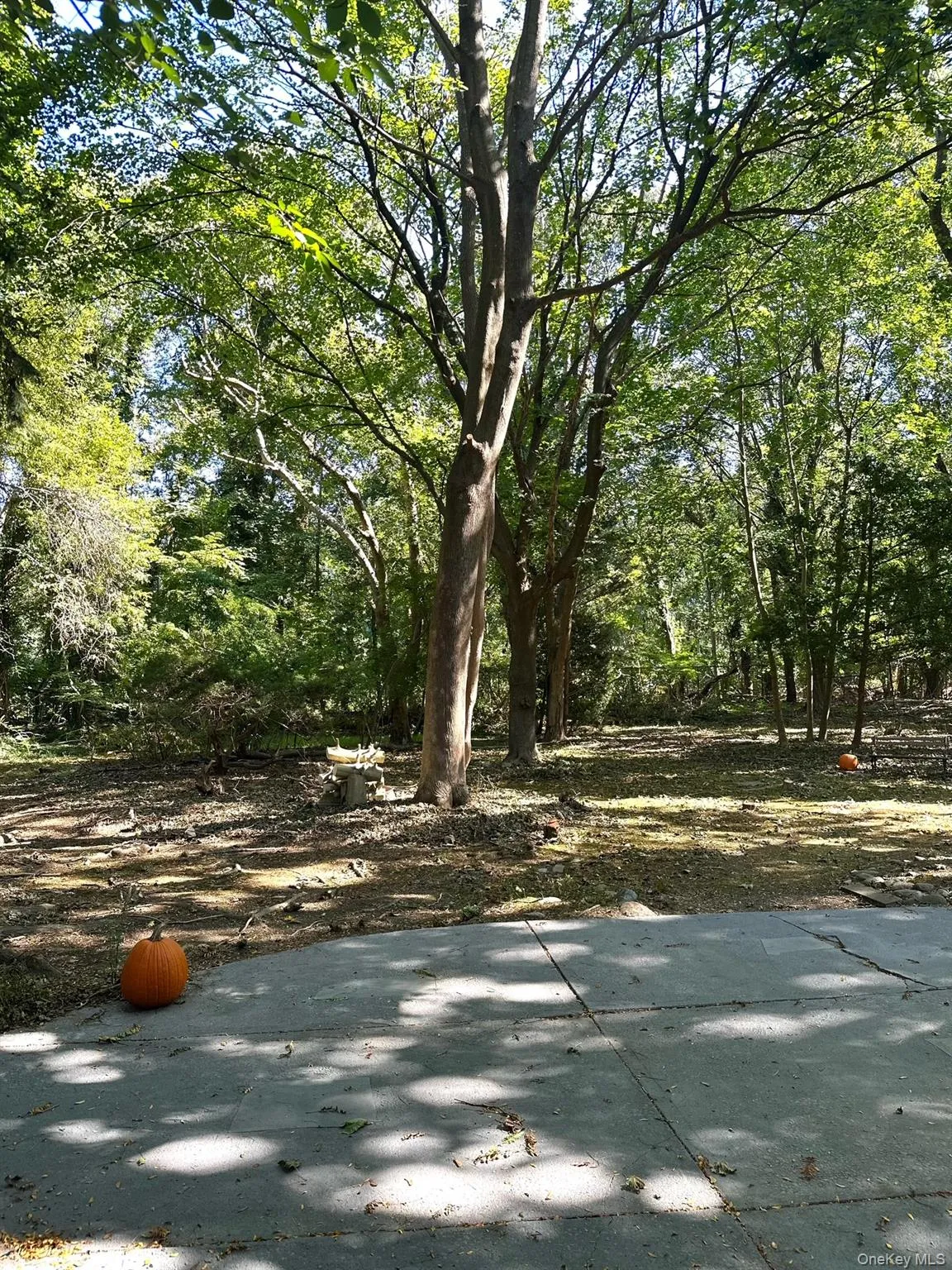 10 Moonedge Road, Huntington, NY, 4 Bedrooms Bedrooms, 9 Rooms Rooms,3 BathroomsBathrooms,Residential,For Rent,Moonedge,0,1059986 10 Moonedge Road, Huntington, NY, 4 Bedrooms Bedrooms, 9 Rooms Rooms,3 BathroomsBathrooms,Residential,For Rent,Moonedge,0,1059986