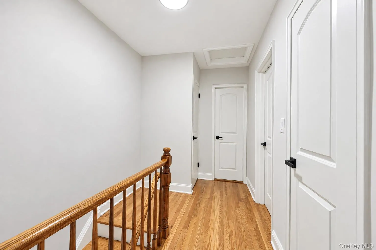 2427 Morgan Avenue, New York, NY, 3 Bedrooms Bedrooms, 9 Rooms Rooms,2 BathroomsBathrooms,Residential,For Rent,Morgan,0,1060061 2427 Morgan Avenue, New York, NY, 3 Bedrooms Bedrooms, 9 Rooms Rooms,2 BathroomsBathrooms,Residential,For Rent,Morgan,0,1060061